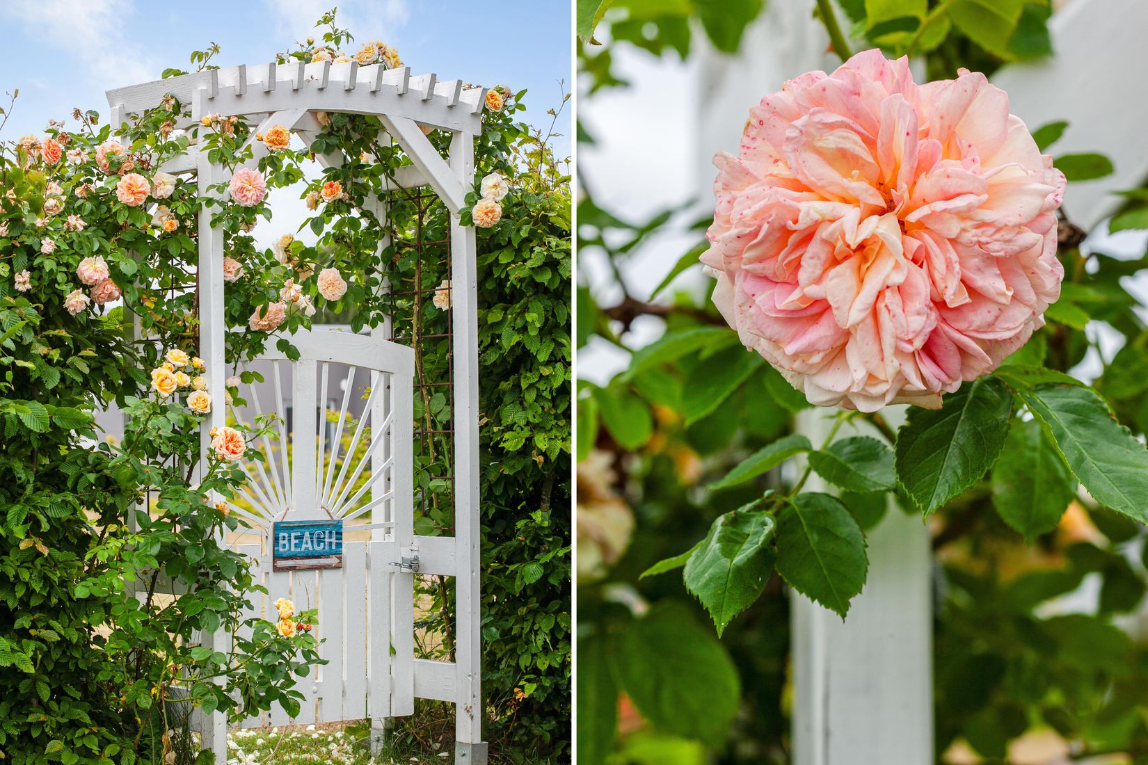 Bostadsrätt, Ridspövägen 6, Dalabadet, Trelleborg