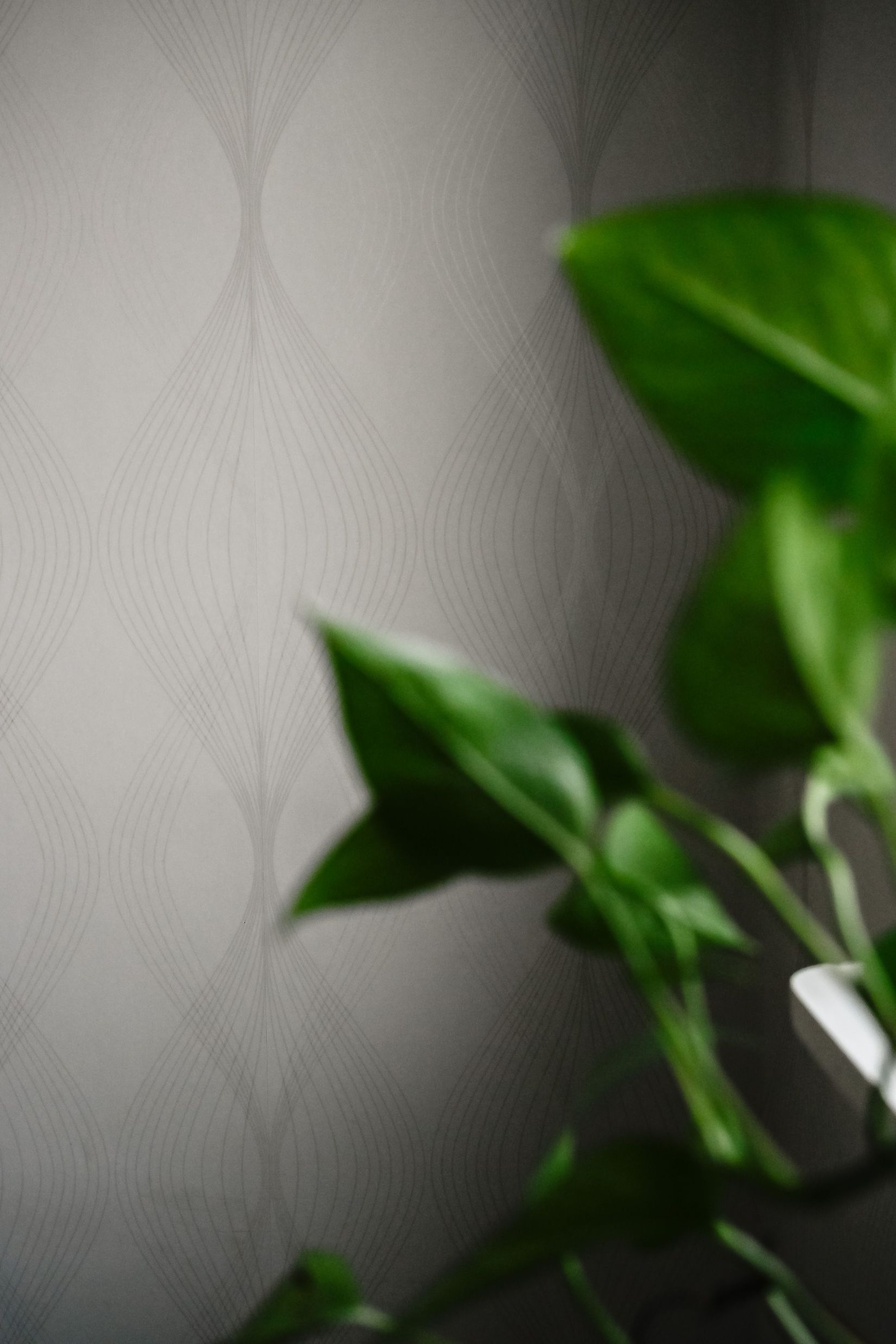 Bostadsrätt, Mejerigatan 1C, Katrineholm Nävertorp, Katrineholm