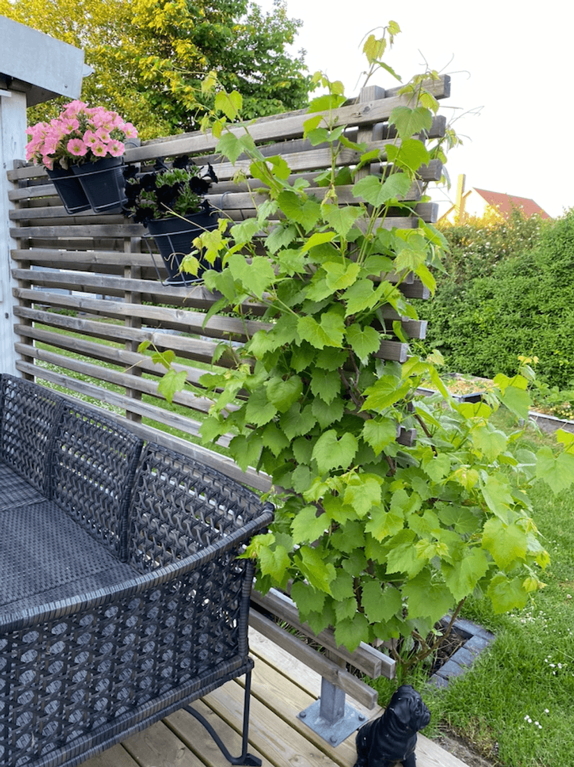 Villa, Vetevägen 5, Helgedal, Kristianstad