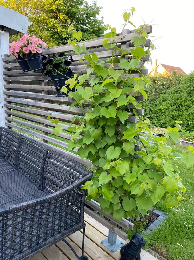 Villa, Vetevägen 5, Helgedal, Kristianstad