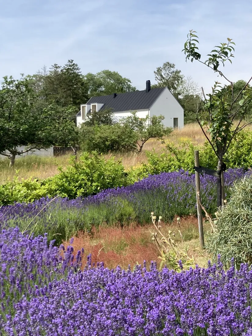 Villa, Skillingevägen 22B, Brantevik, Simrishamn