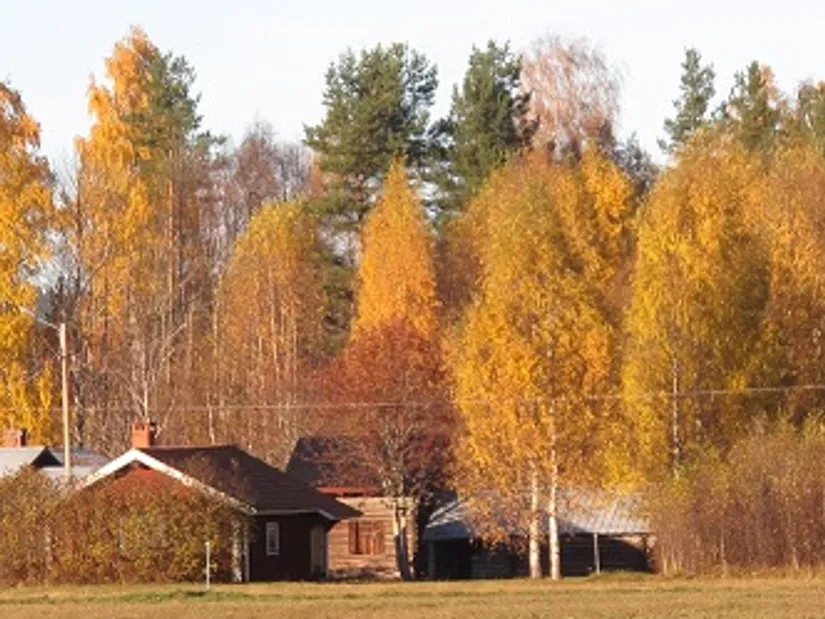 Fritidshus, Östervägen 12, Venjan, Mora