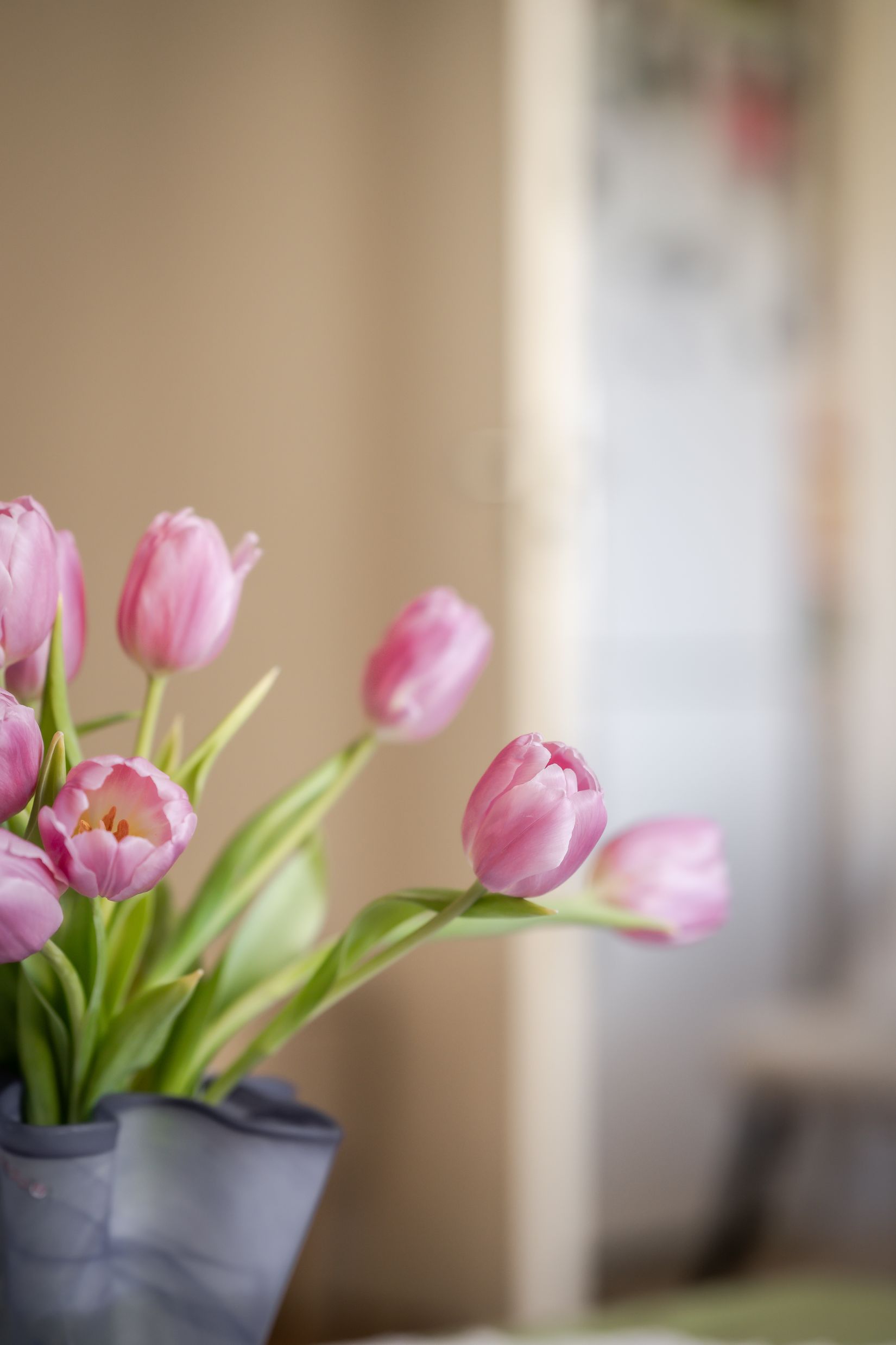 Bostadsrätt, Lindormsgatan 32, Sjöbo, Borås