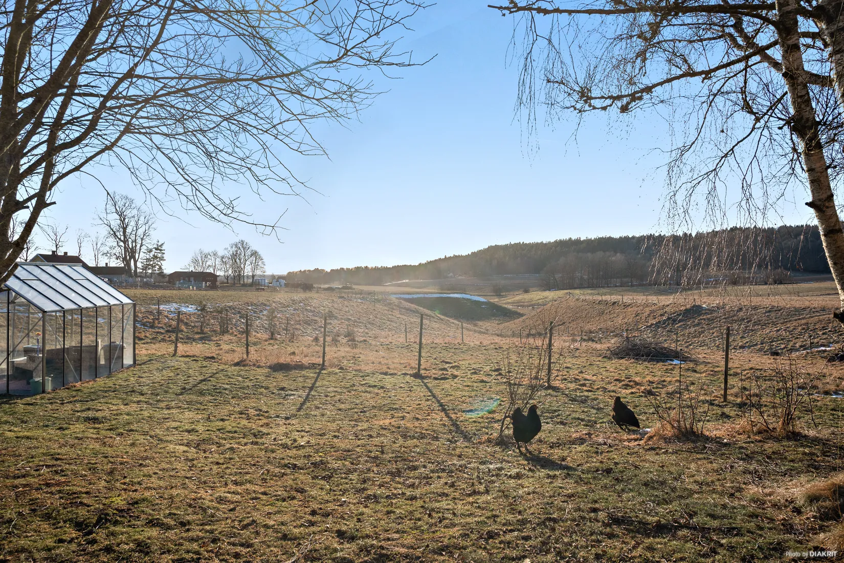 Gård/Skog, Lena Rosengården, Vårgårda