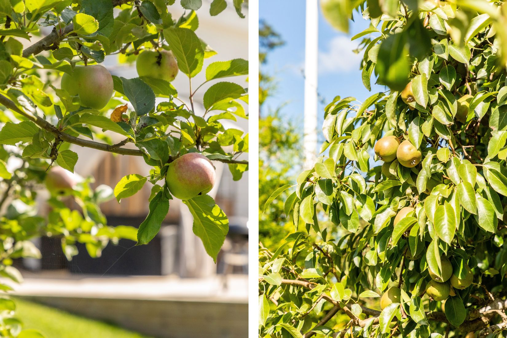 Villa, Grönsångarvägen 20, Söderskogen, Håbo