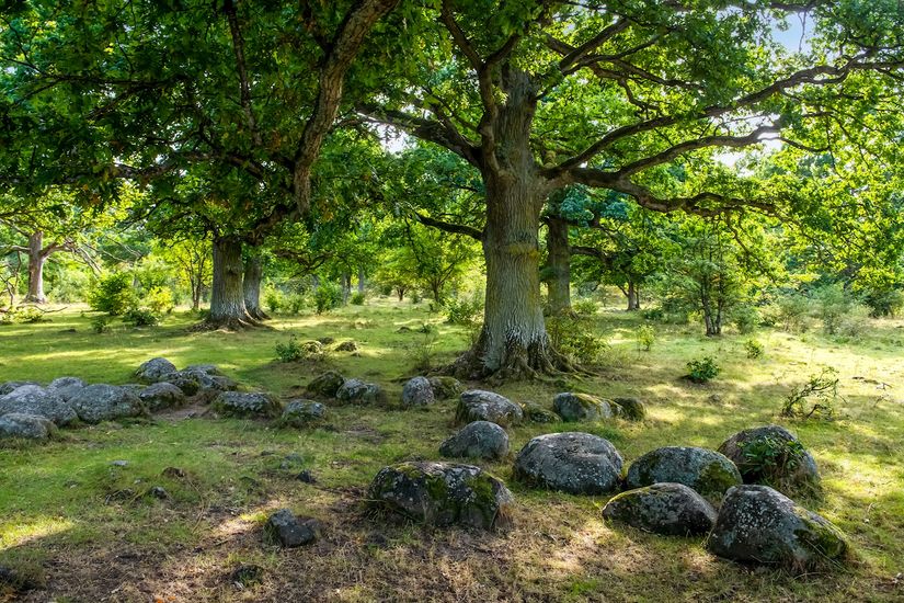 Bostadsrätt, Tellusgatan 30, Kungsängen, Jönköping