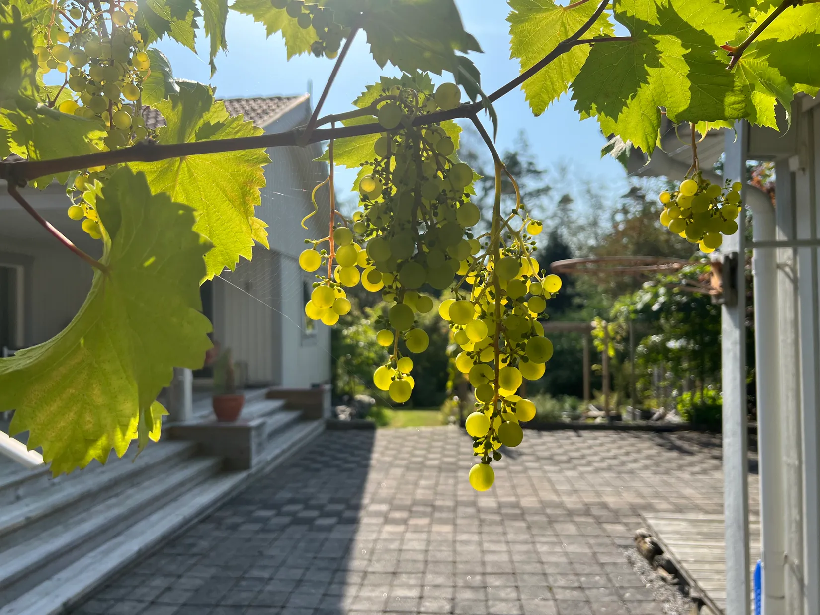 Villa, Åsebyberg 852, Solberga-Kode, Kungälv