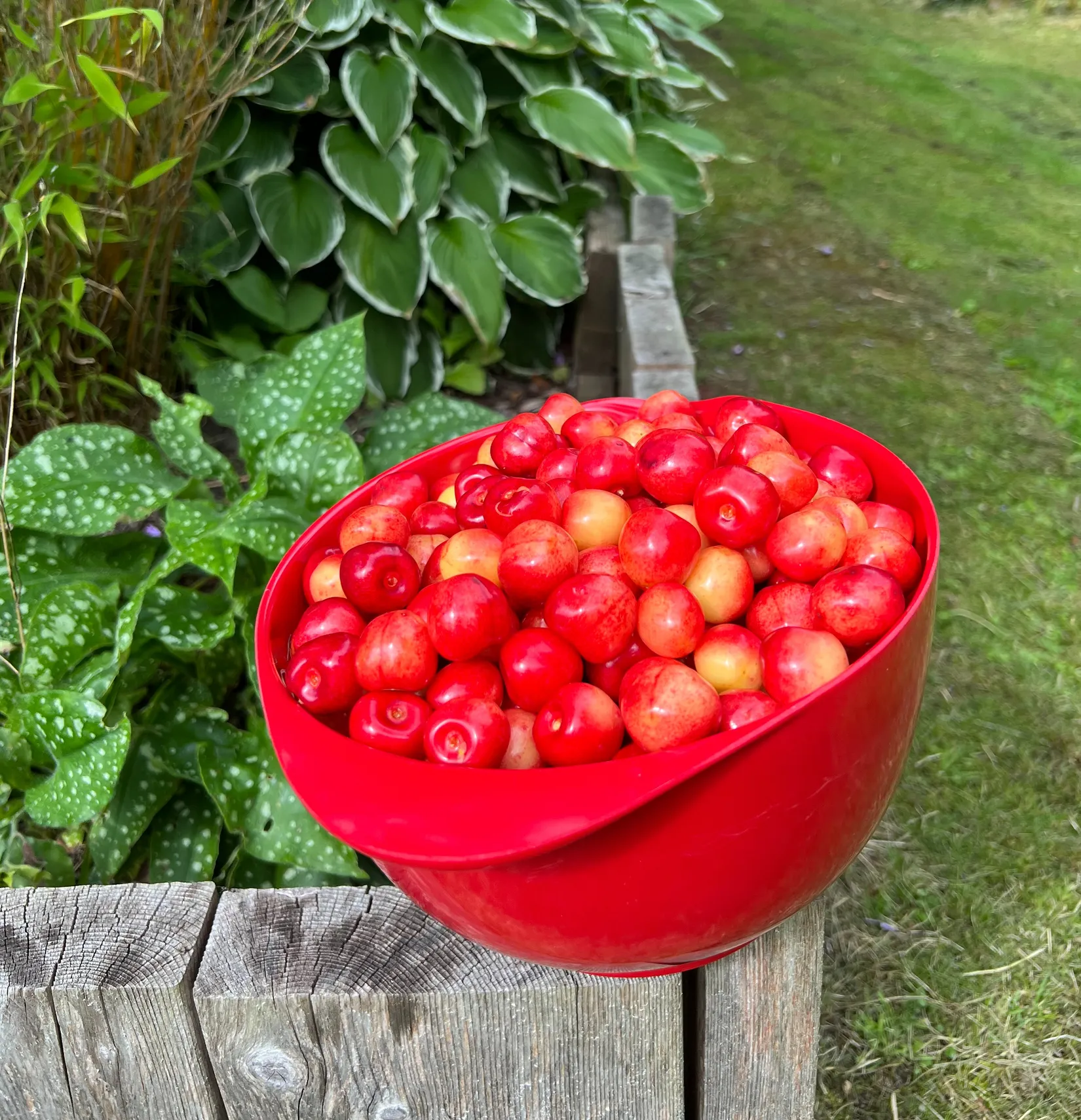 Villa, Åsebyberg 852, Solberga-Kode, Kungälv