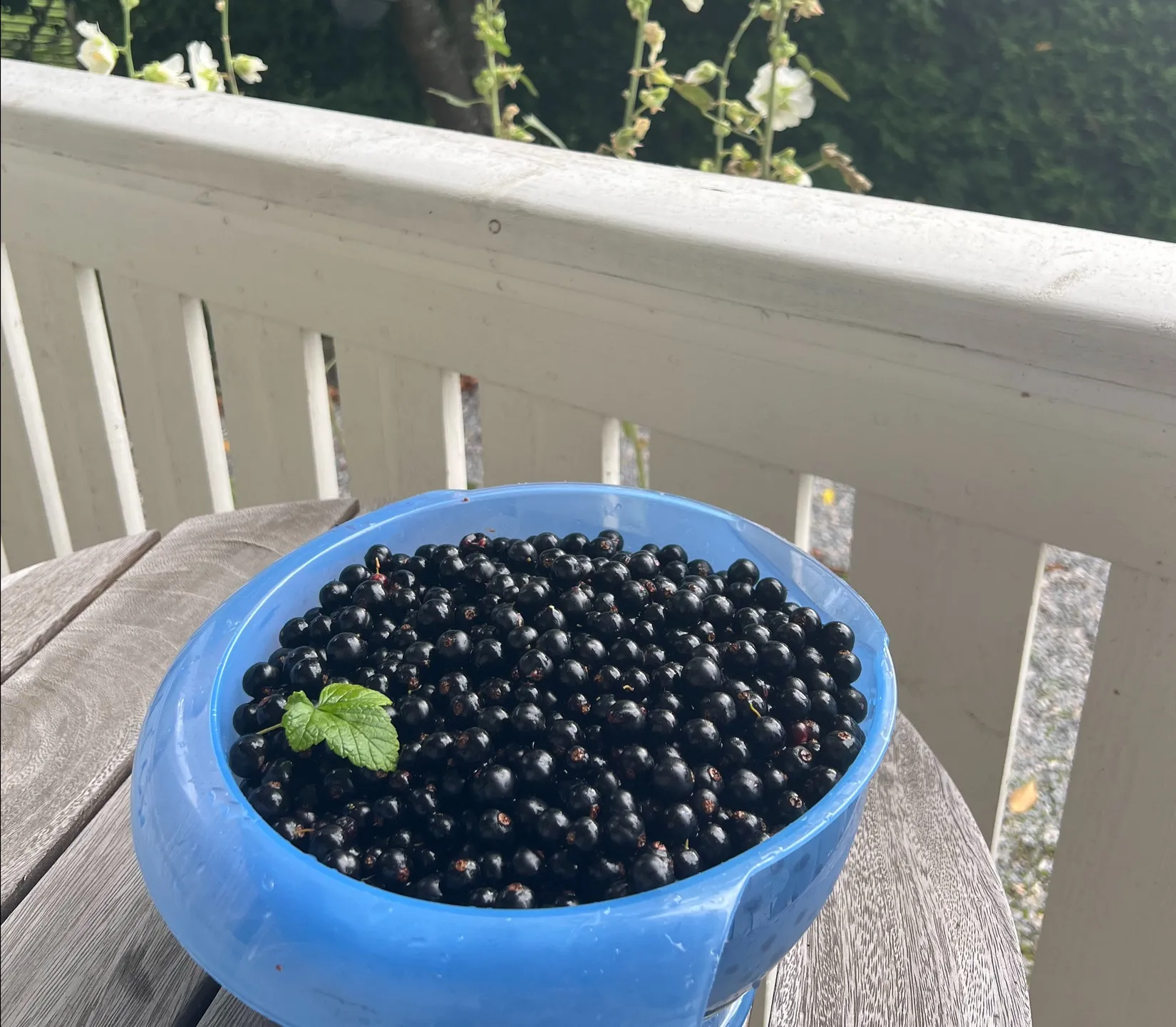 Villa, Åsebyberg 852, Solberga-Kode, Kungälv