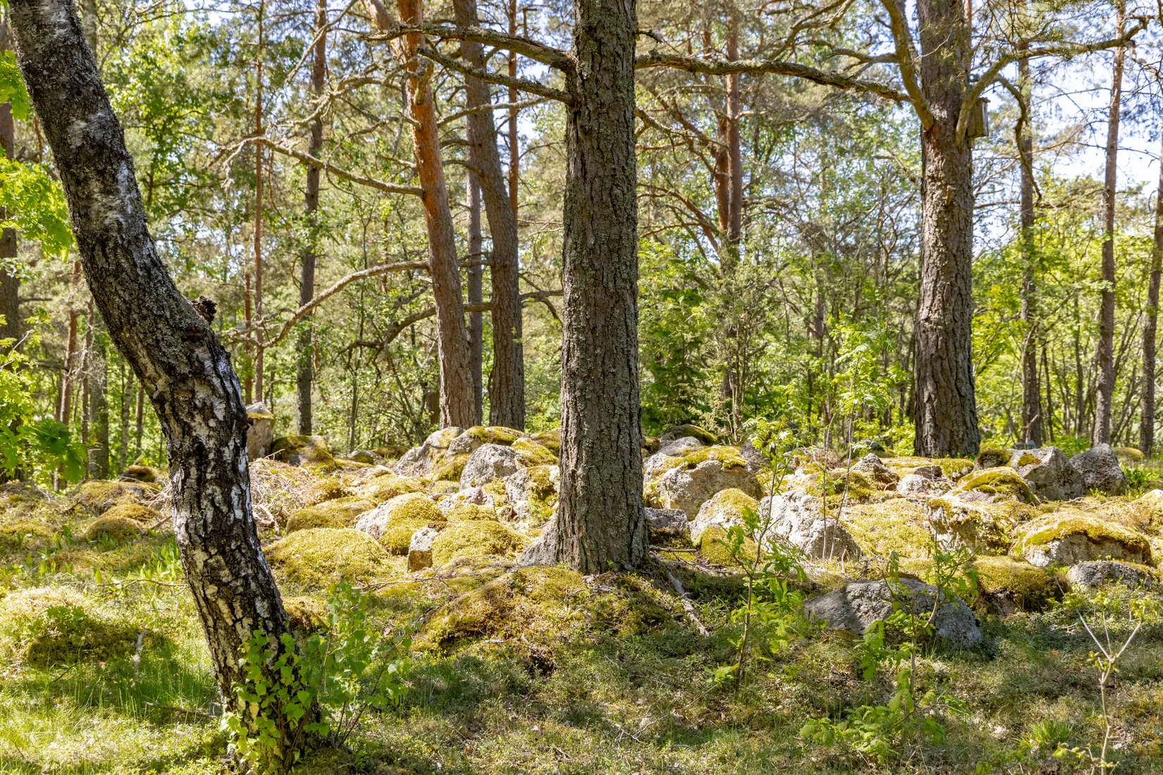 Fritidshus, Torstuna Torslunda 5, Fjärdhundra, Enköping