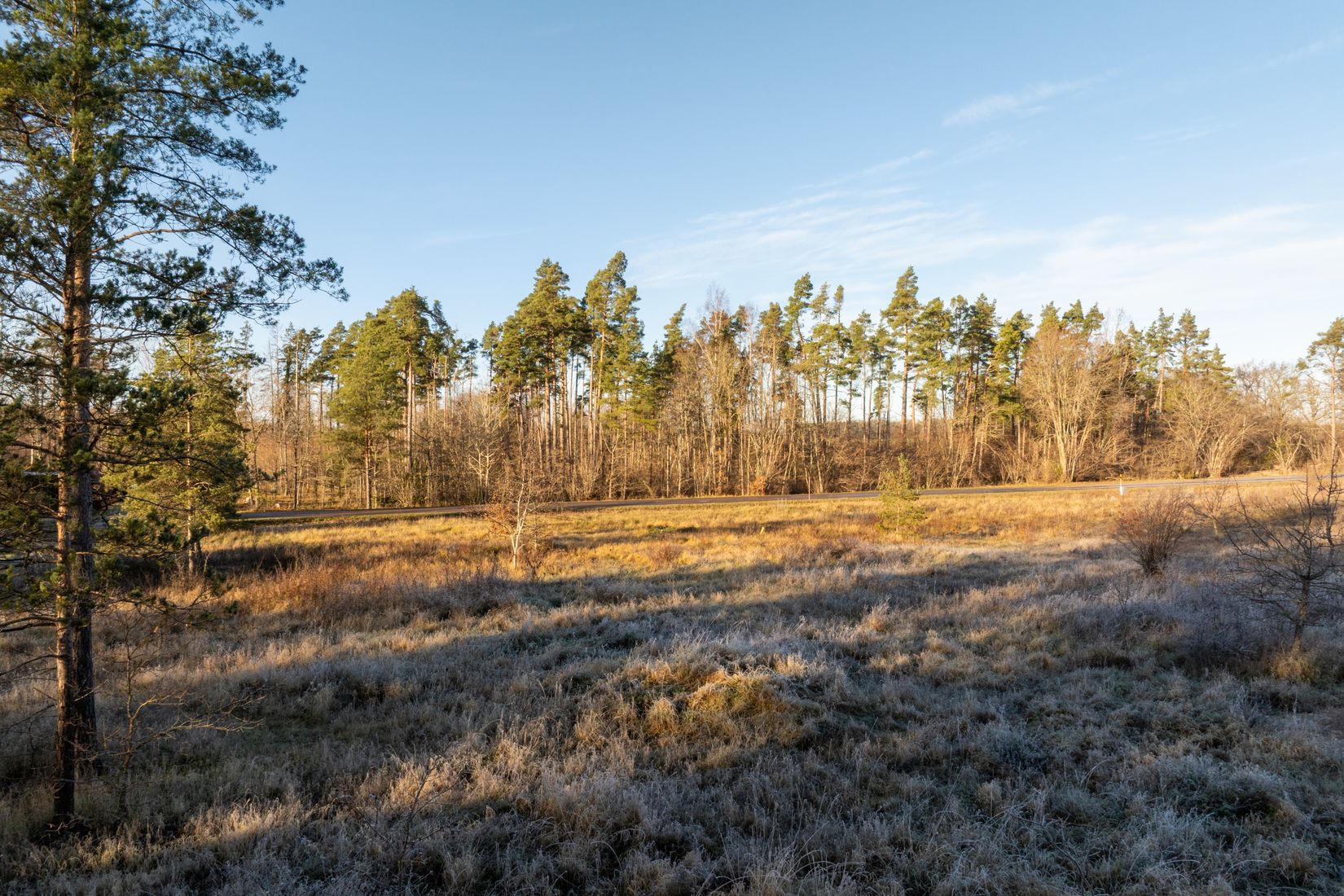 Tomt, Fole Lilla Sojdeby 516A, Mellersta Gotland - Fole, Gotland