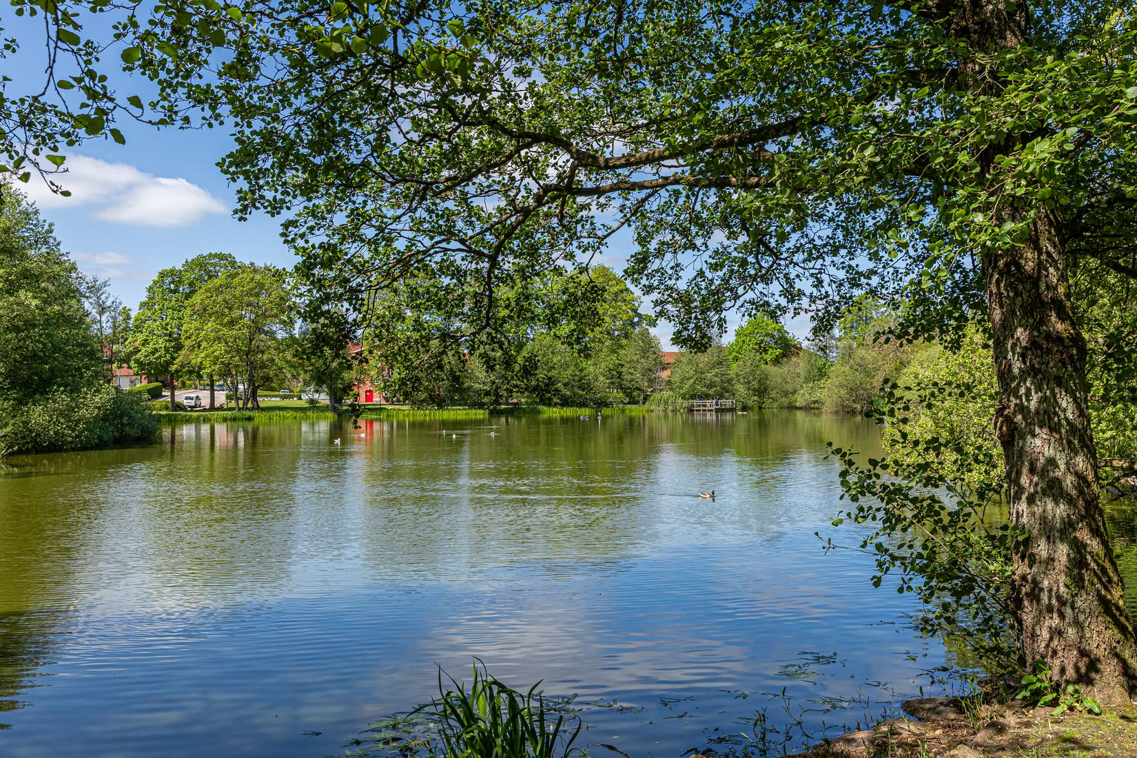Bostadsrätt, Kanalgatan 18A, Eslöv