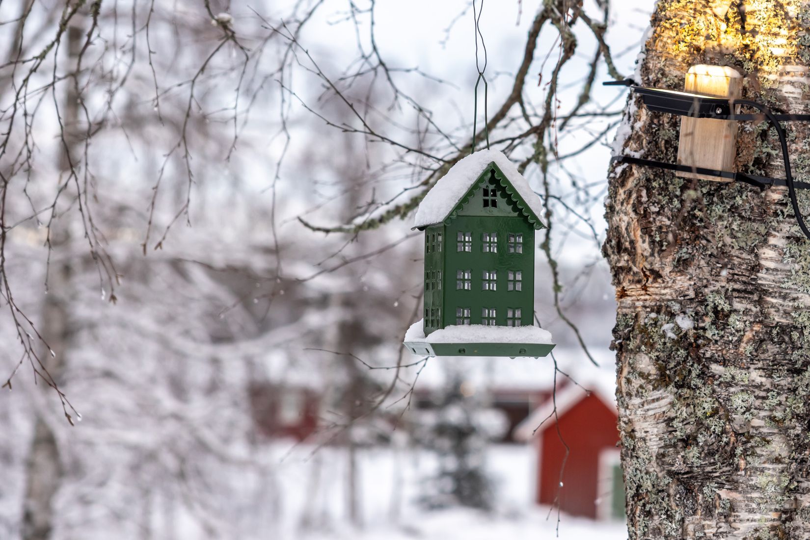 Gård/Skog, Tväråmark 111, Sävar, Umeå