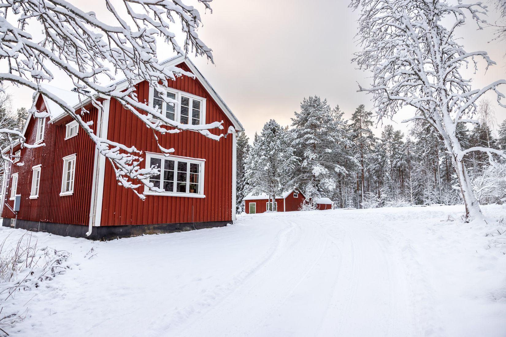 Gård/Skog, Tväråmark 111, Sävar, Umeå