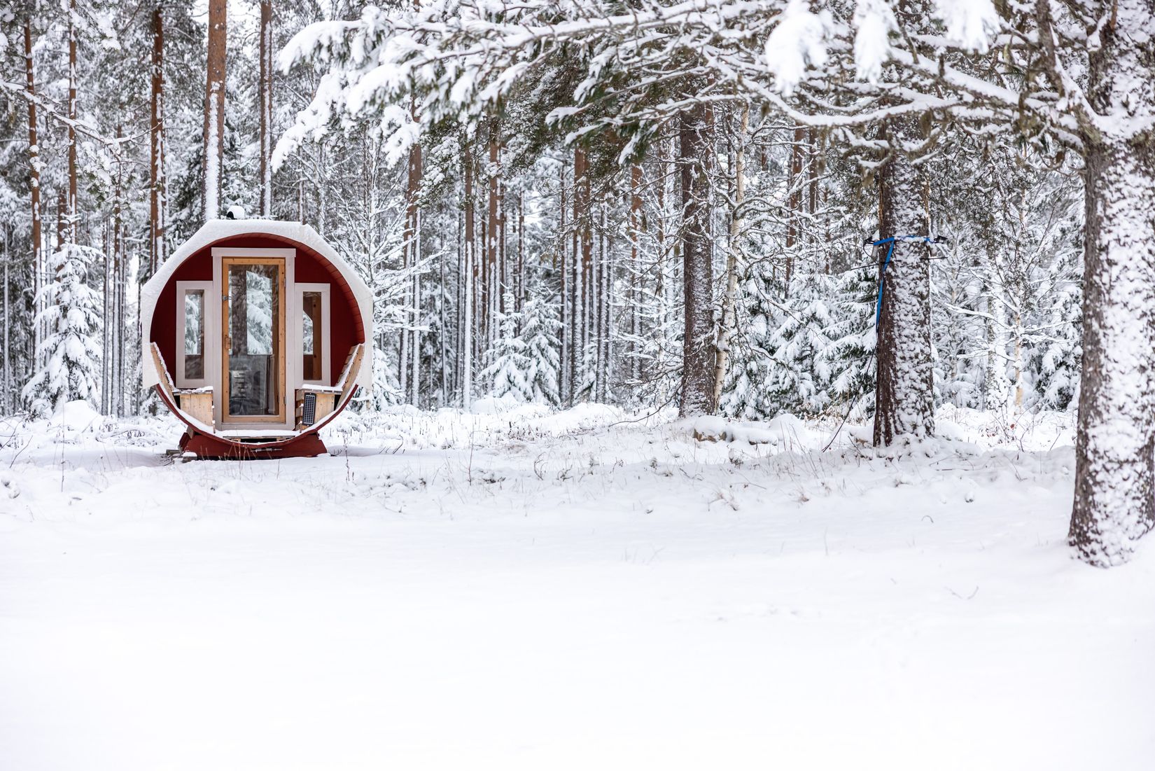 Gård/Skog, Tväråmark 111, Sävar, Umeå