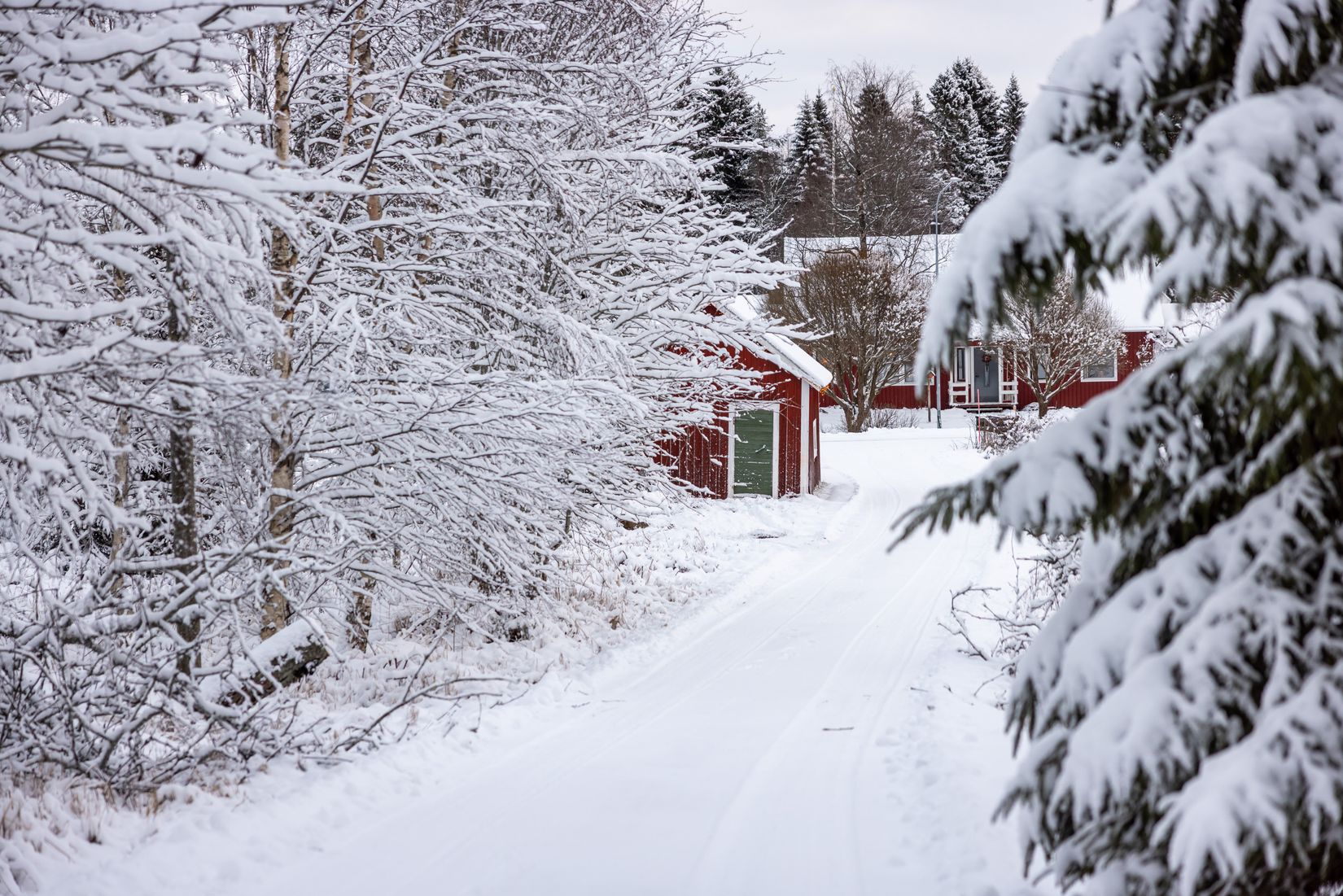 Gård/Skog, Tväråmark 111, Sävar, Umeå