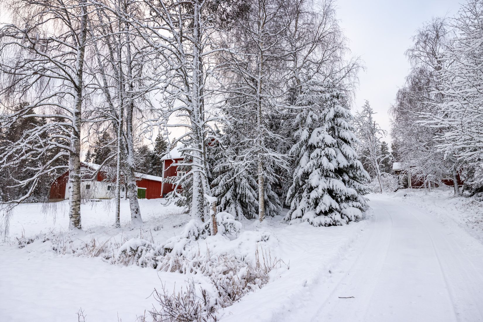 Gård/Skog, Tväråmark 111, Sävar, Umeå