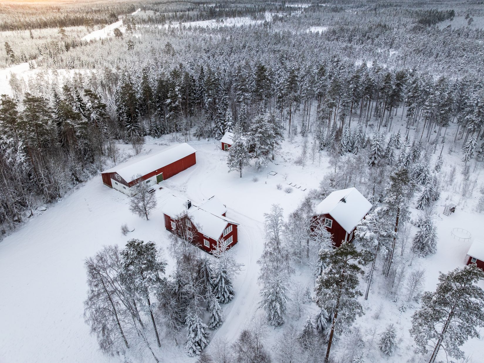 Gård/Skog, Tväråmark 111, Sävar, Umeå