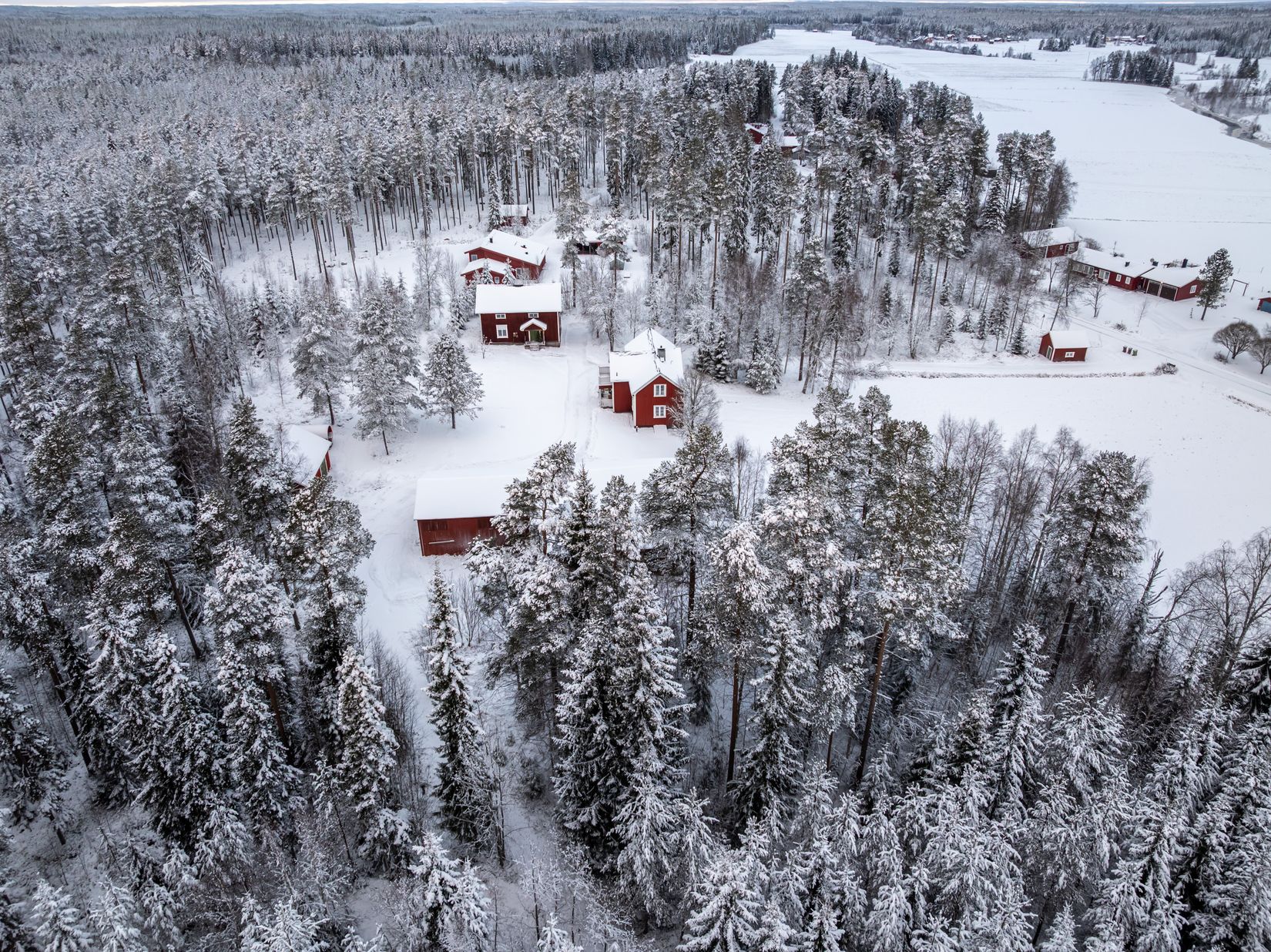 Gård/Skog, Tväråmark 111, Sävar, Umeå