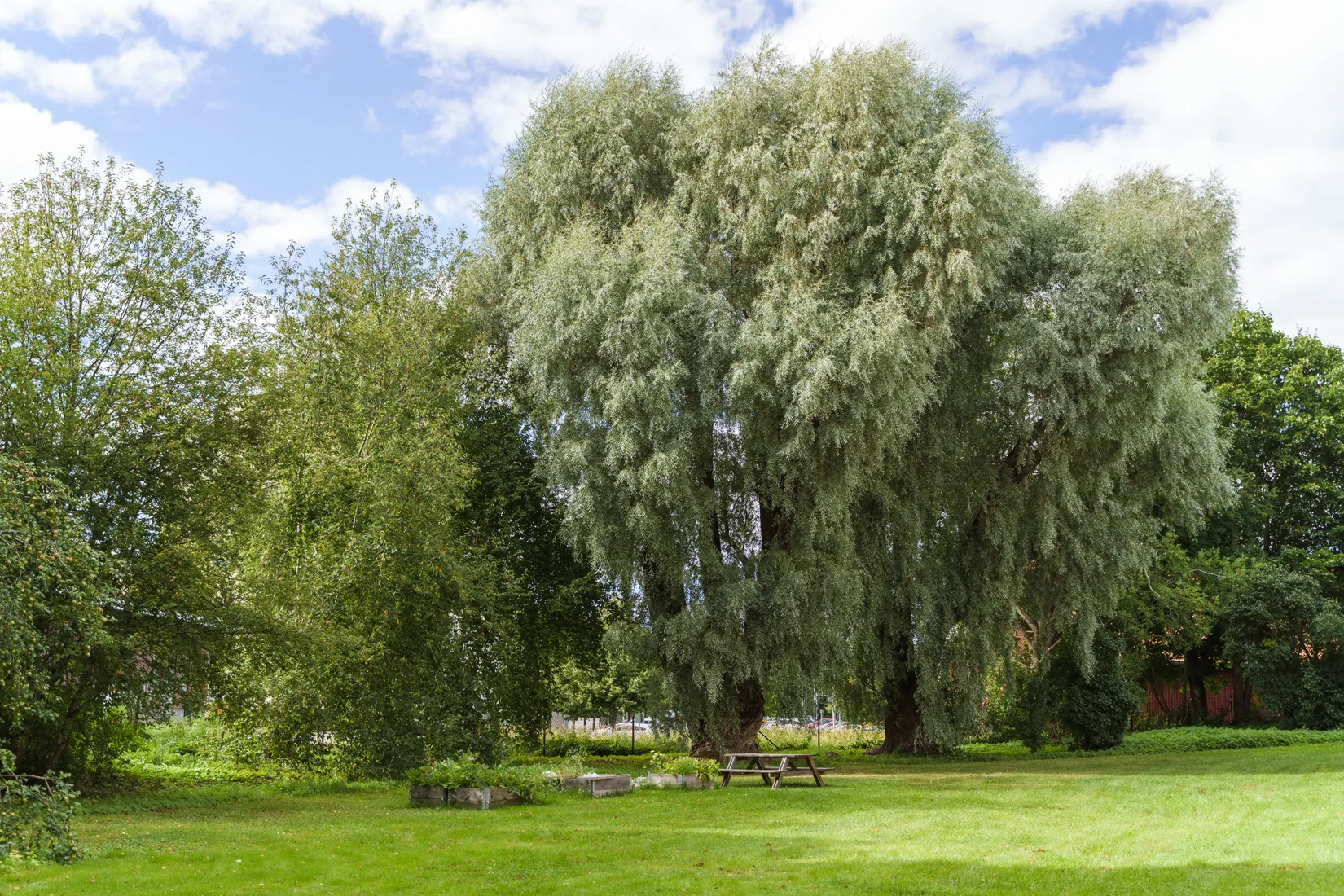 Bostadsrätt, Fredriksdalsvägen 4D, Villastaden, Gävle