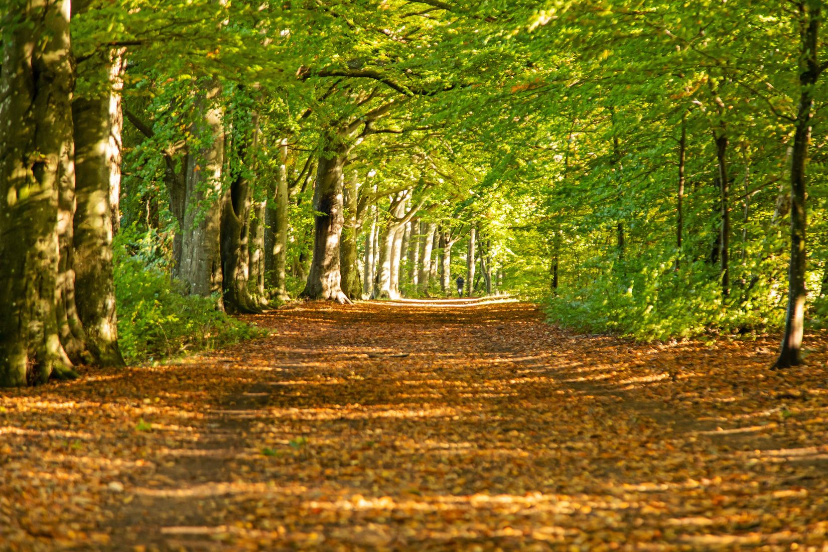 Radhus, Ryagången 3, Frennarp, Halmstad