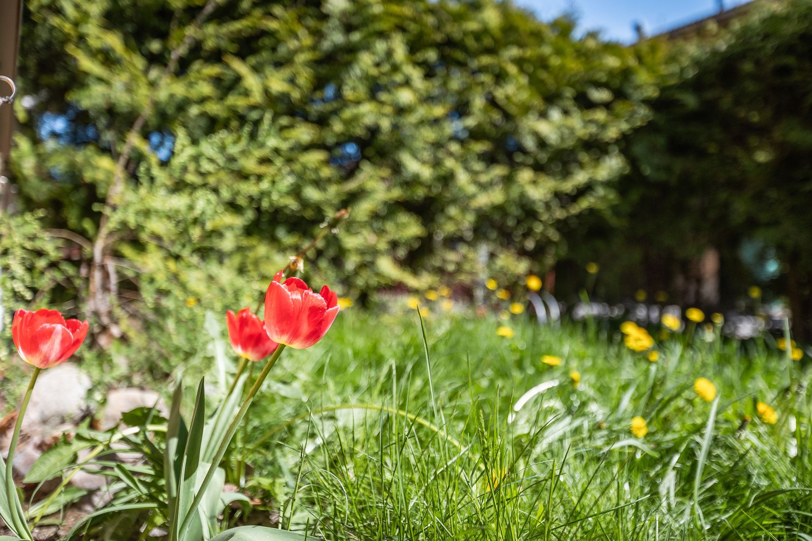 Radhus, Torparegatan 40, Lambohov, Linköping