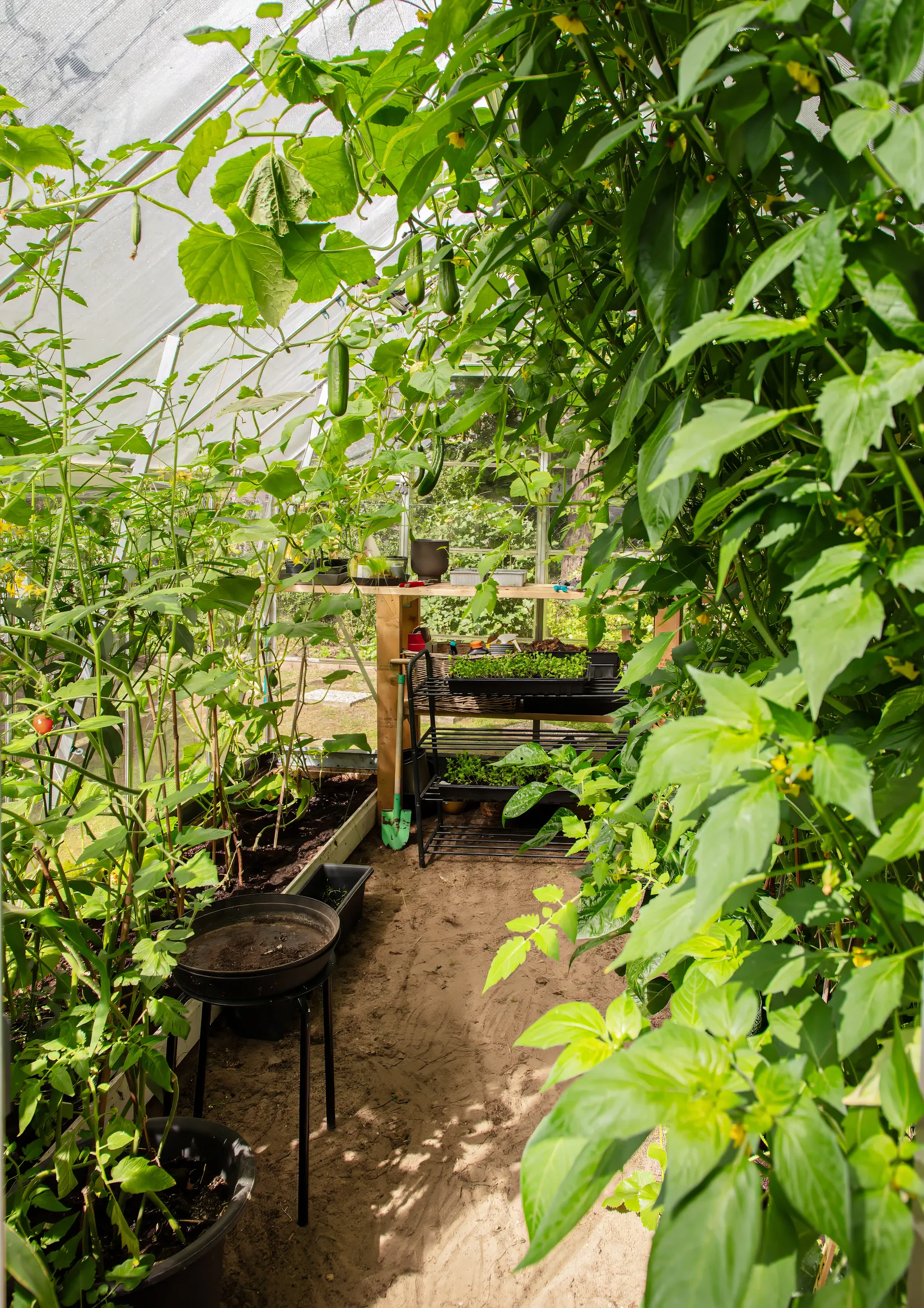 Villa, Bofinkstigen 8, Sjöbo Sommarby, Sjöbo