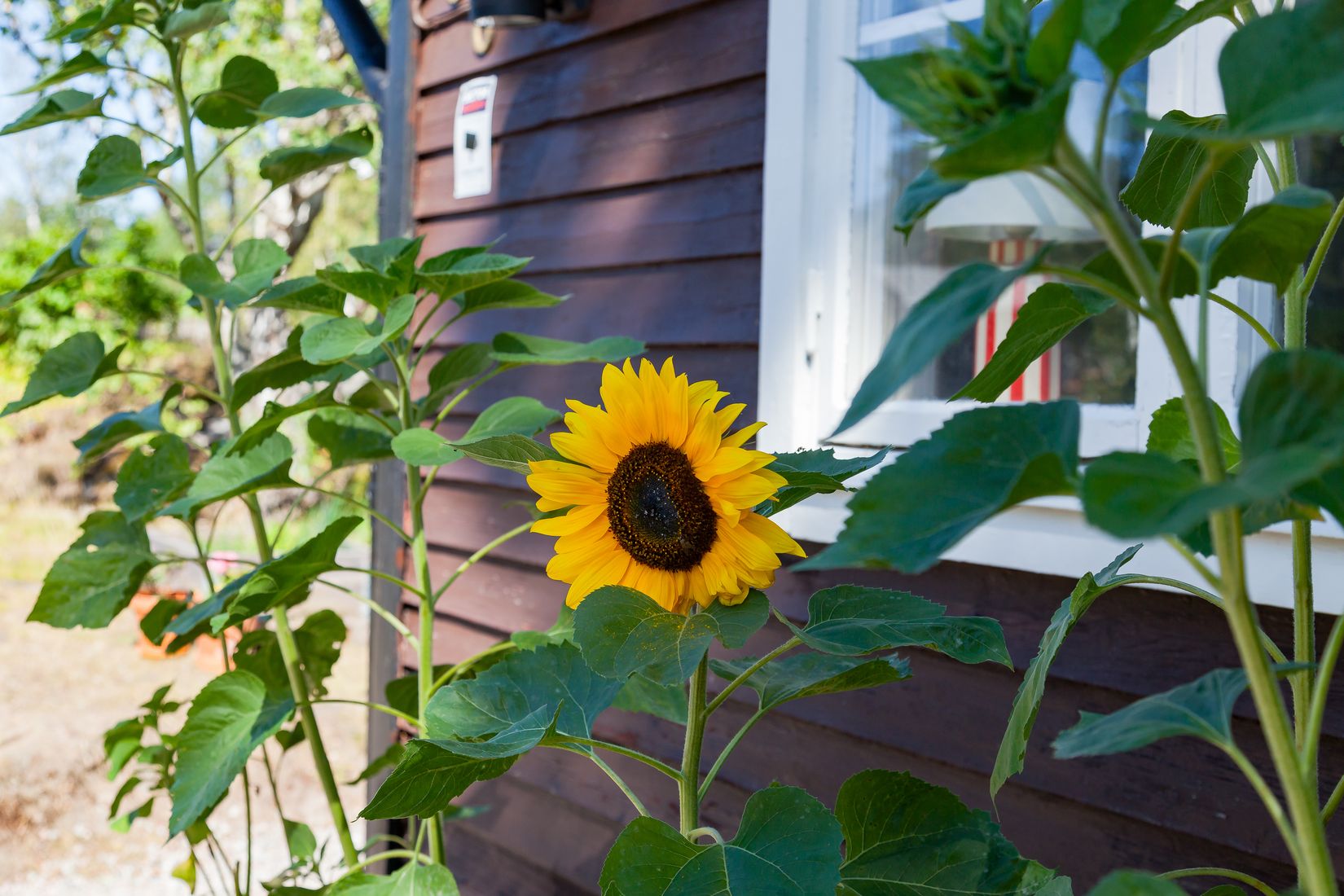 Villa, Österleden 38, Björkvik, Värmdö