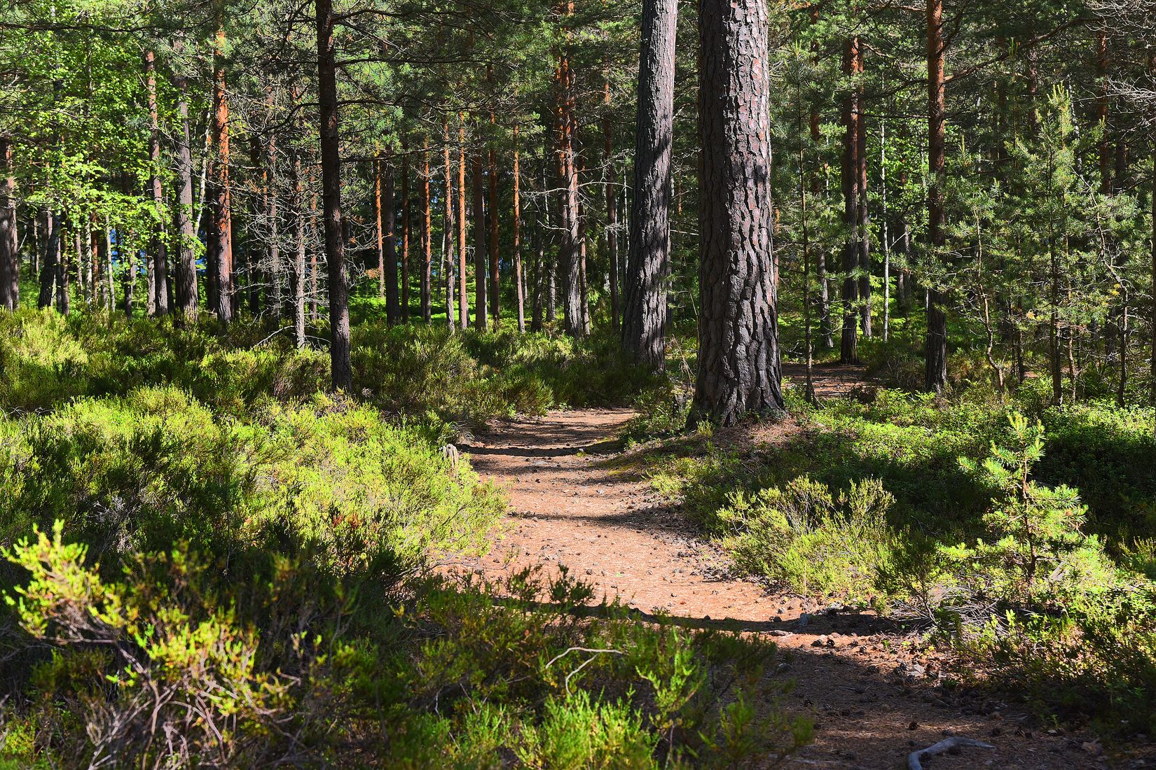 Villa, Österleden 38, Björkvik, Värmdö