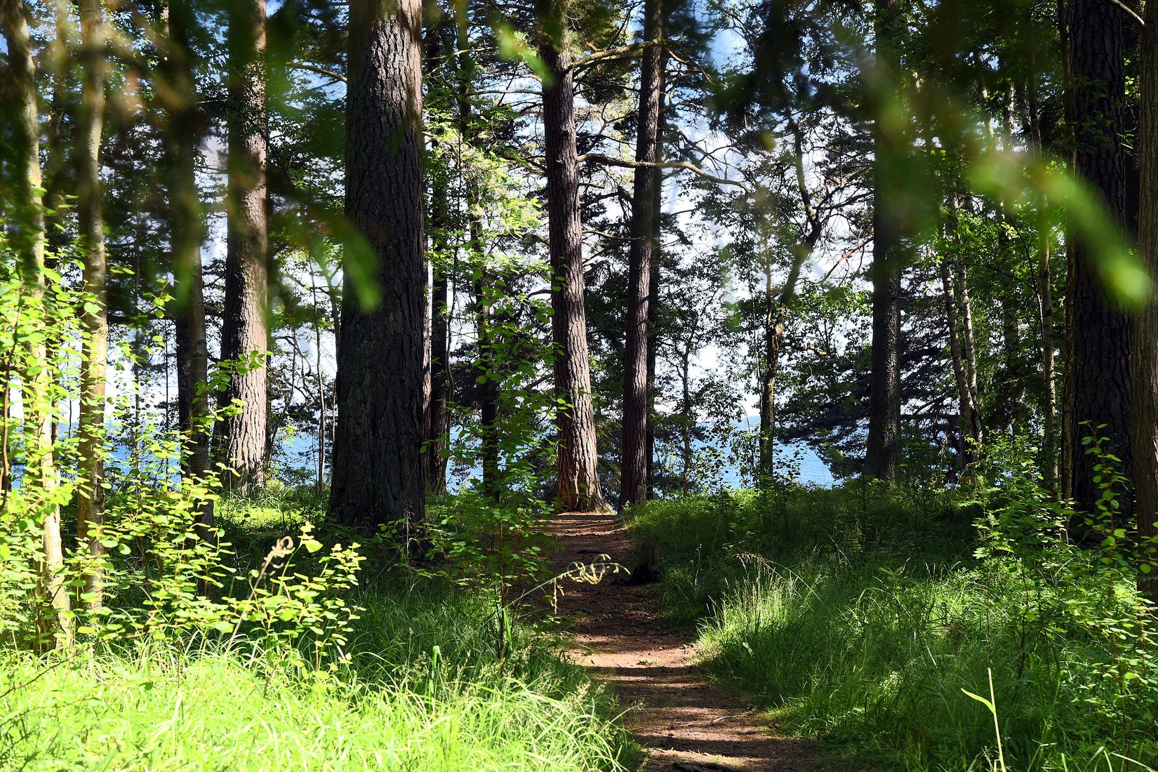 Villa, Österleden 38, Björkvik, Värmdö