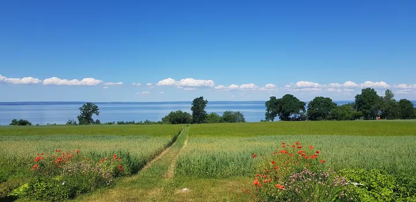 Gård/Skog, Boeryd 20, Gränna, Jönköping