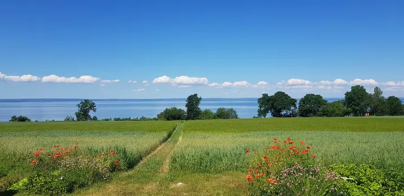 Gård/Skog, Boeryd 20, Gränna, Jönköping