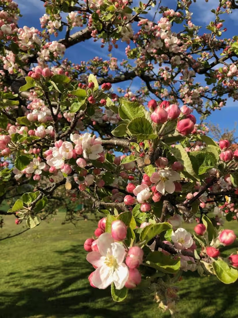 Gård/Skog, Boeryd 20, Gränna, Jönköping