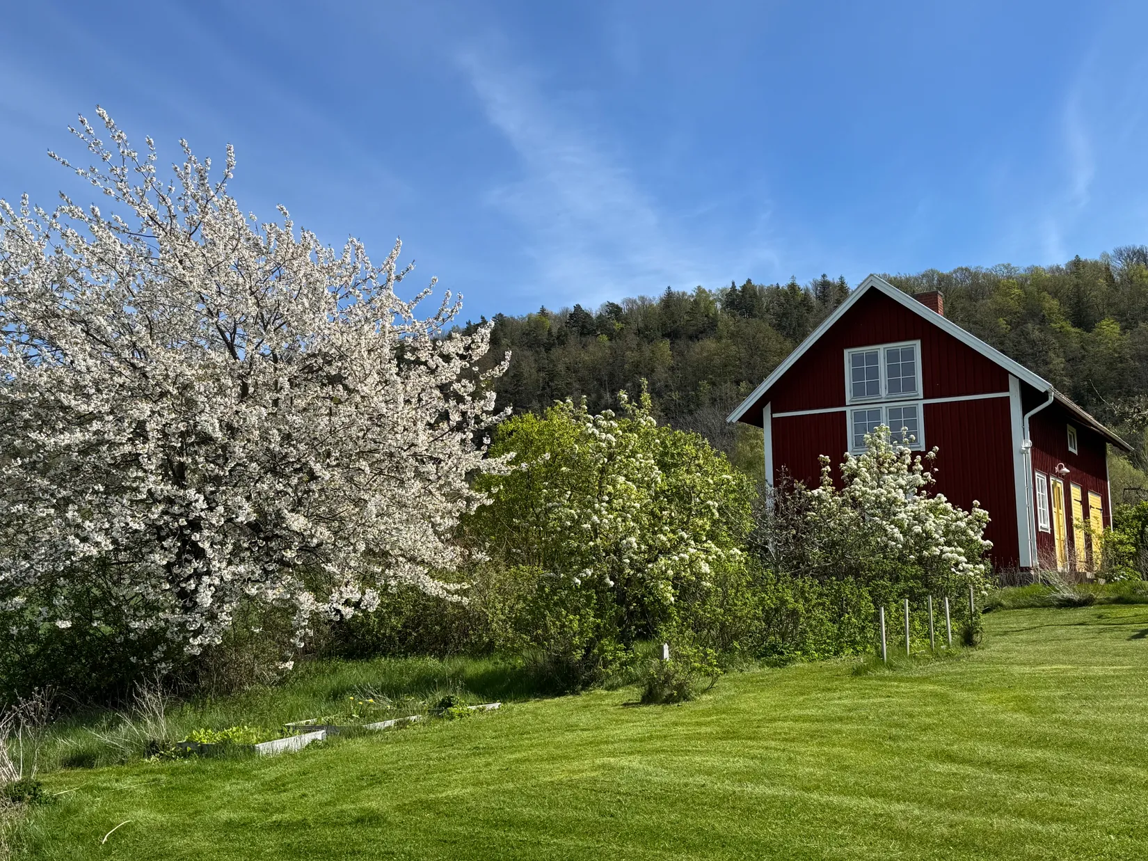 Gård/Skog, Boeryd 20, Gränna, Jönköping