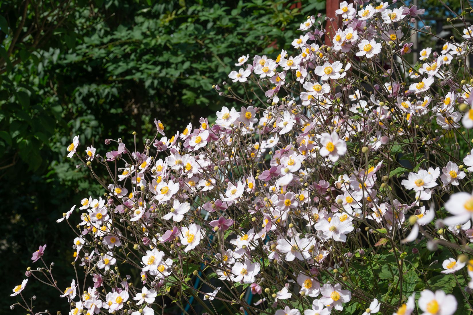 Radhus, Lindmätarvägen 35, Myrängen, Huddinge