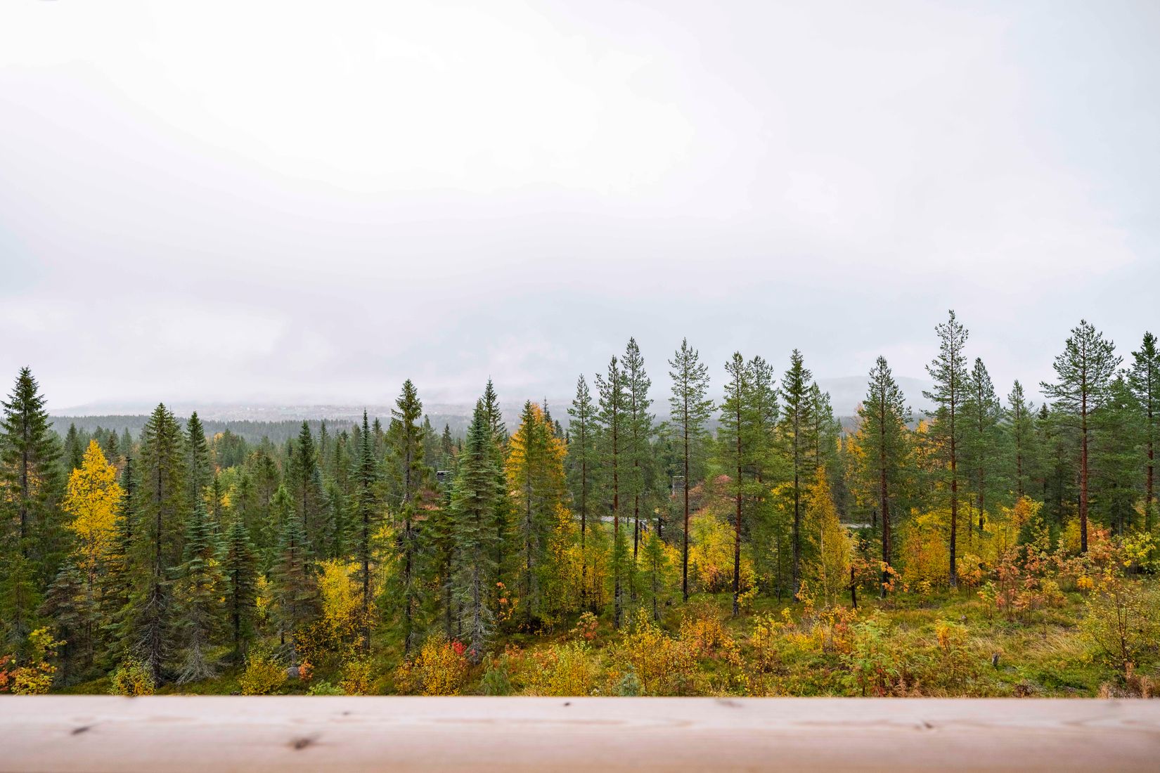 Bostadsrätt, Silvergransvägen 10B, Klövsjö, Berg