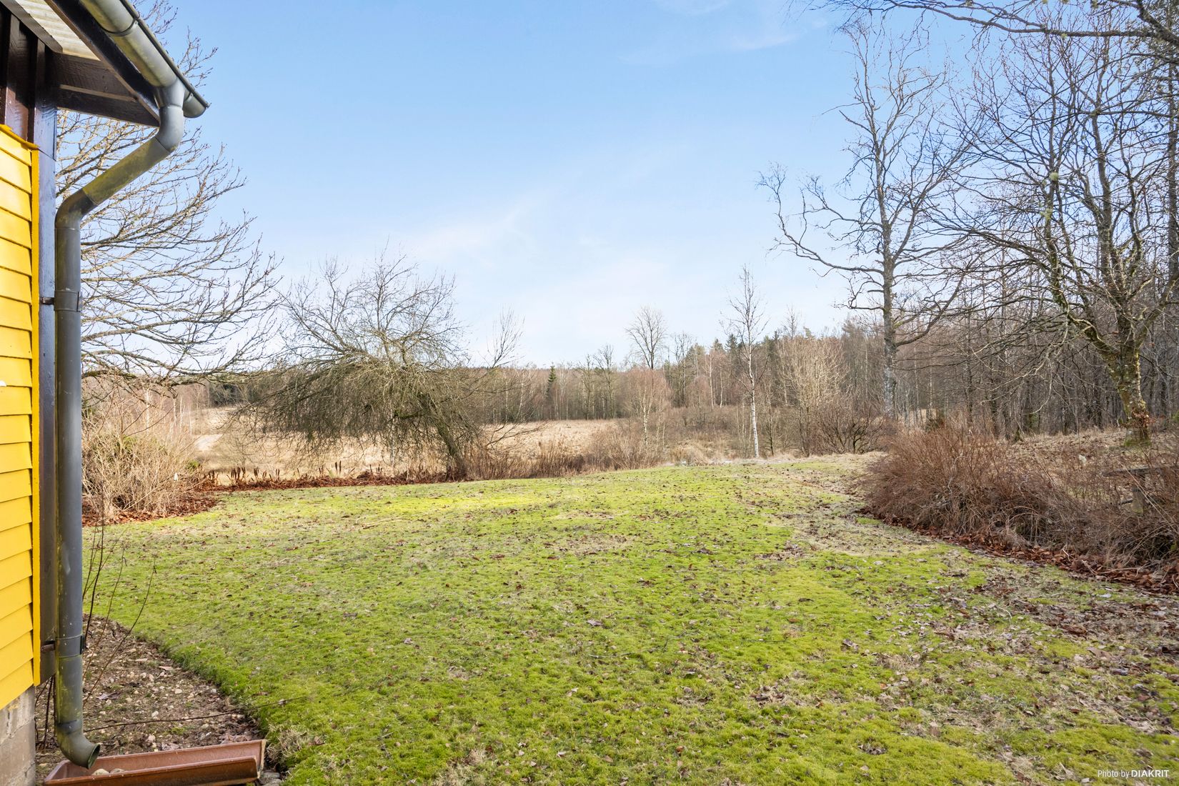 Gård/Skog, Axet 306, Hylte