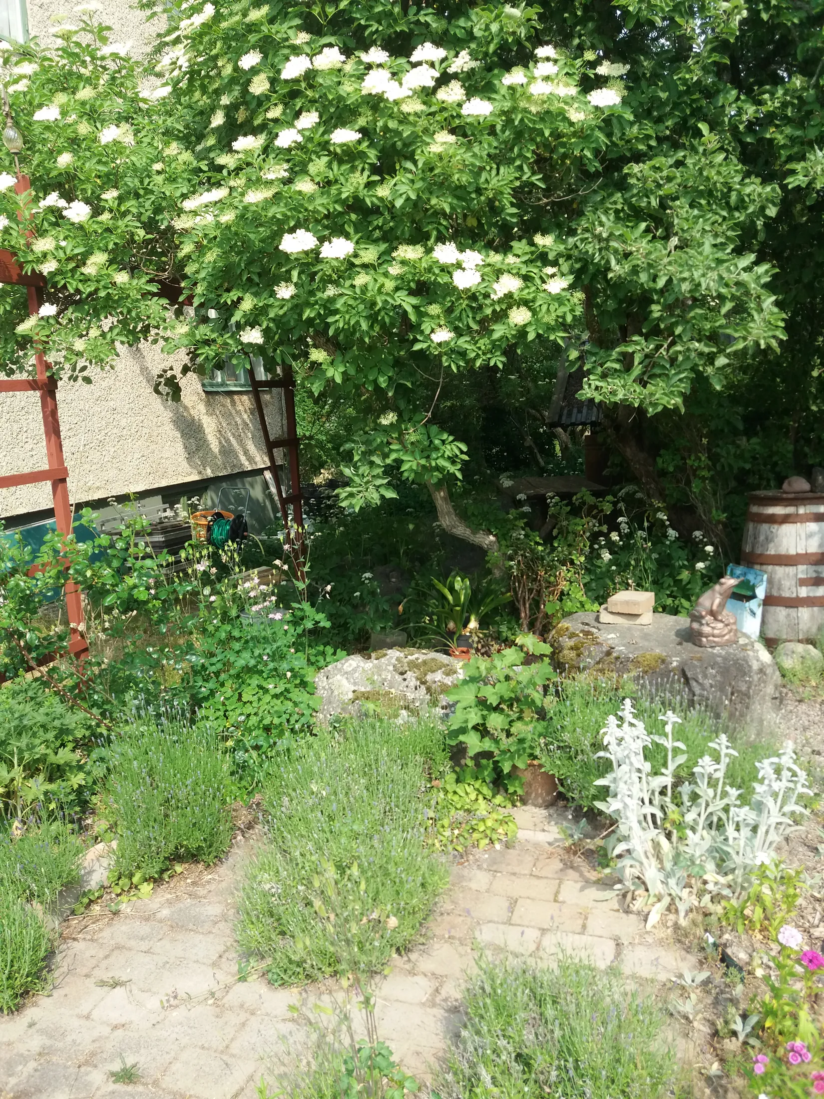 Villa, Mejerivägen 4, Örbyhus, Tierp