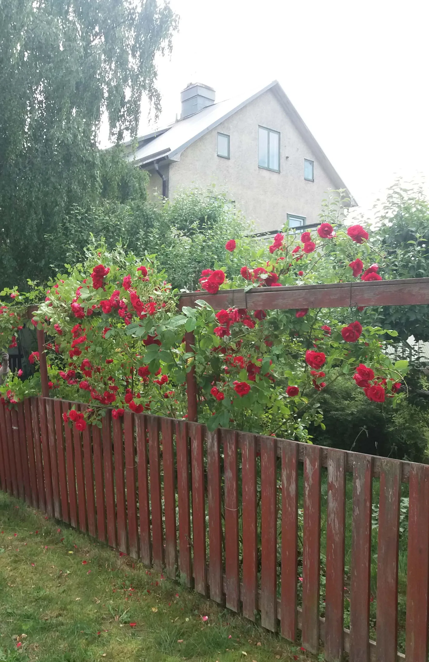 Villa, Mejerivägen 4, Örbyhus, Tierp