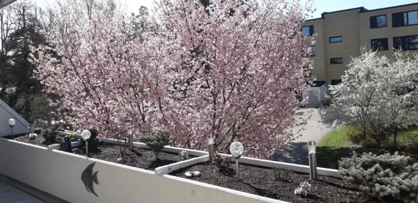 Bostadsrätt, Hasselbacken 3, Centralt, Upplands Väsby