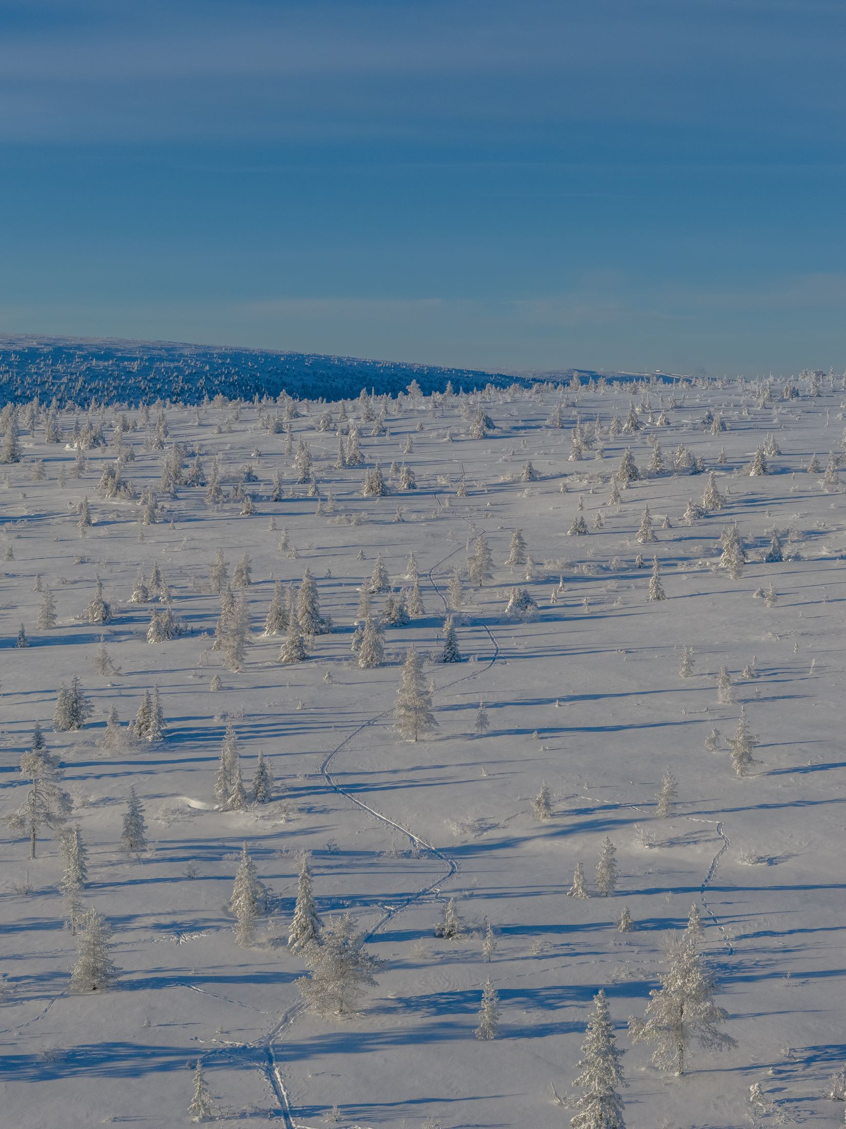 Tomt, Björnbärsstigen 7, Gammelgårdsområdet, Malung-Sälen