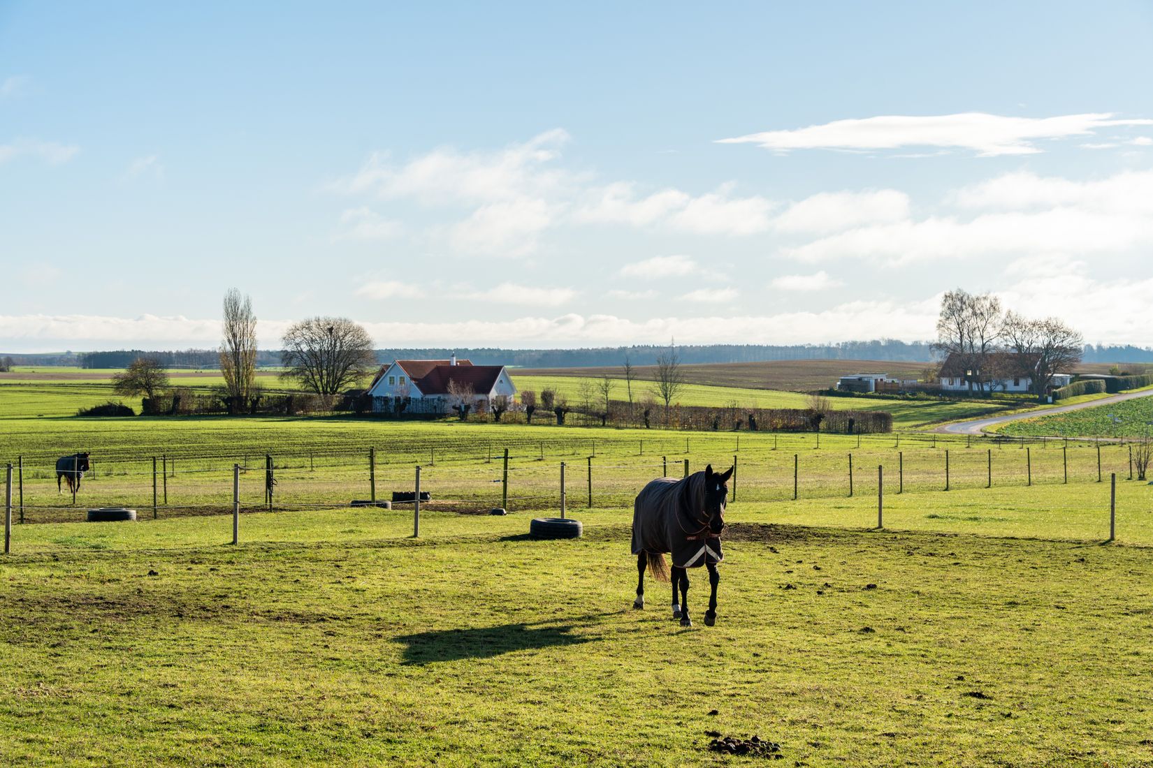 Villa, Gård/Skog, Krogaled 33-11, Ystad