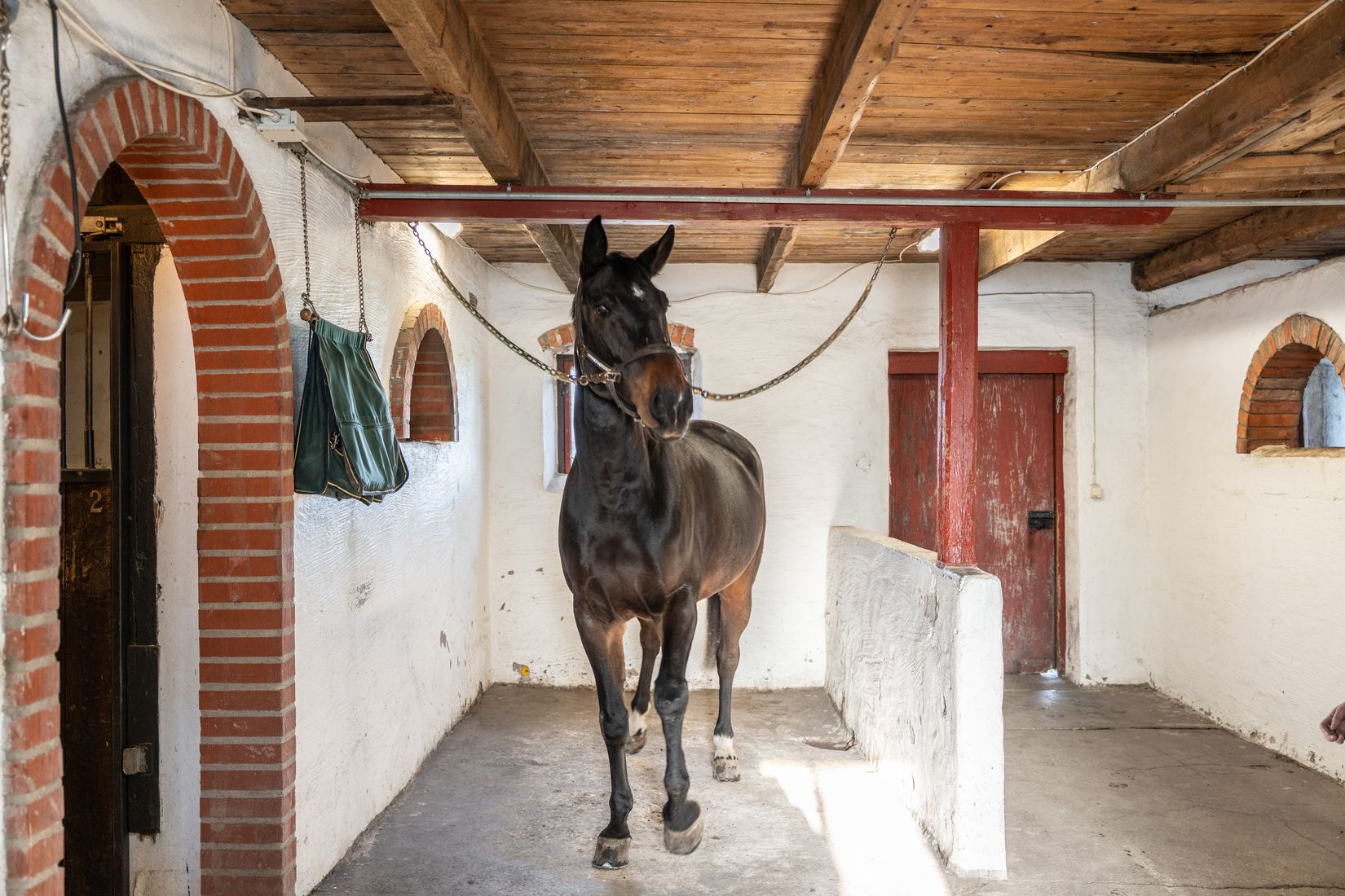 Villa, Gård/Skog, Krogaled 33-11, Ystad