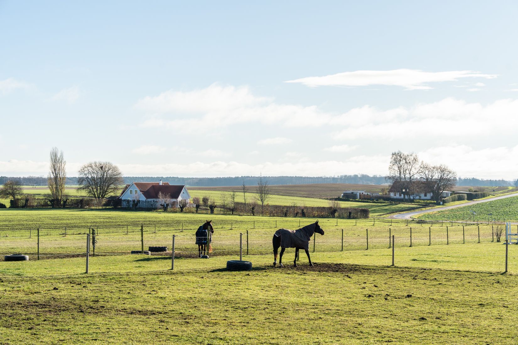 Villa, Gård/Skog, Krogaled 33-11, Ystad