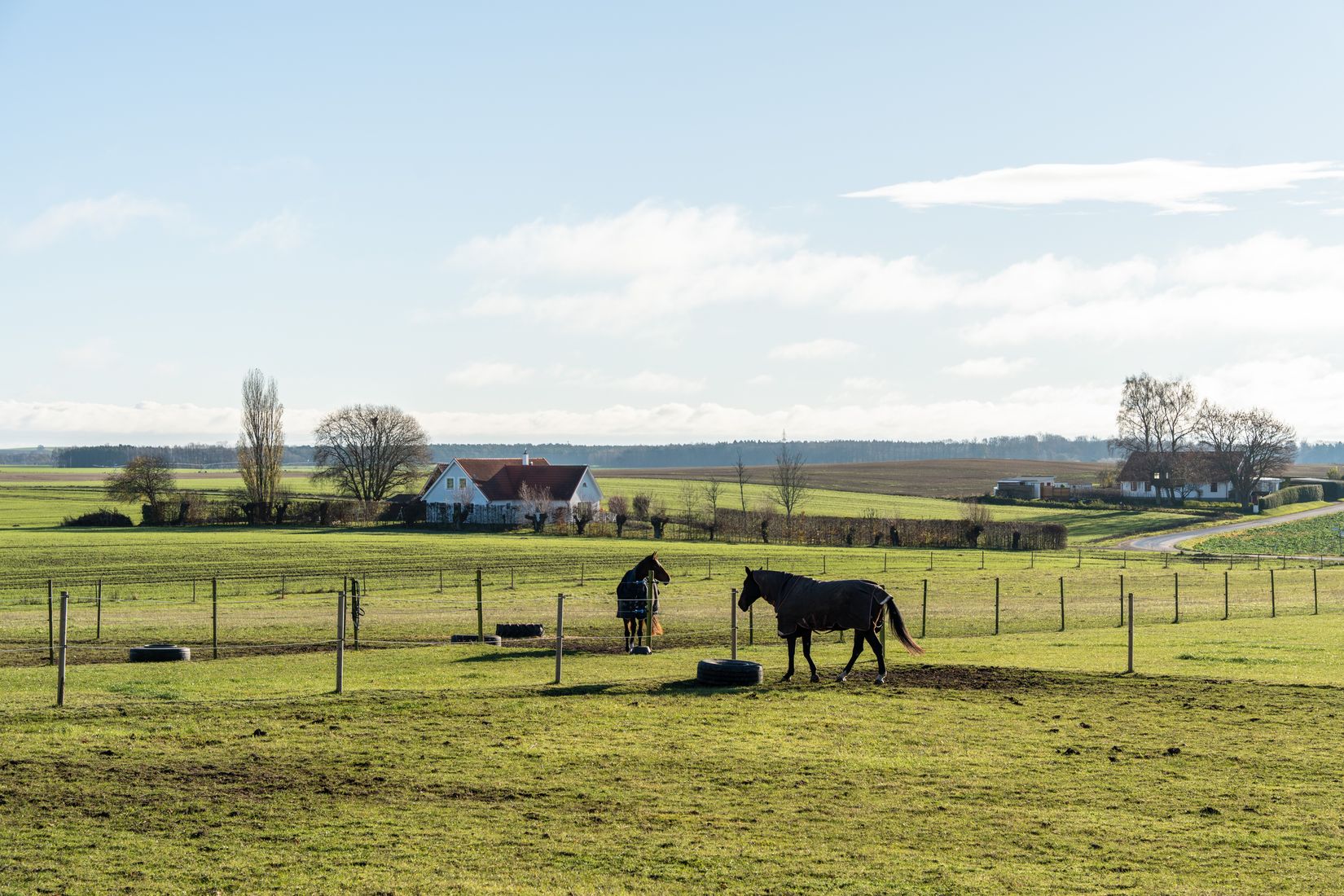Villa, Gård/Skog, Krogaled 33-11, Ystad