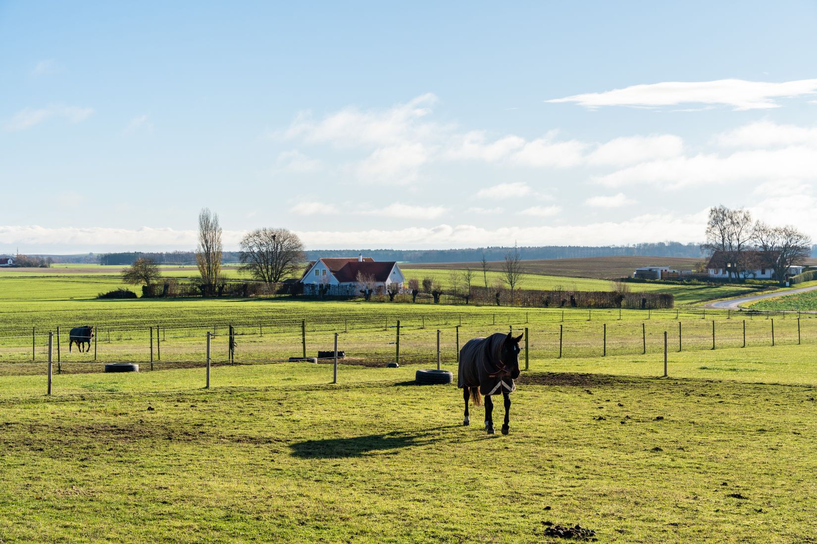 Villa, Gård/Skog, Krogaled 33-11, Ystad