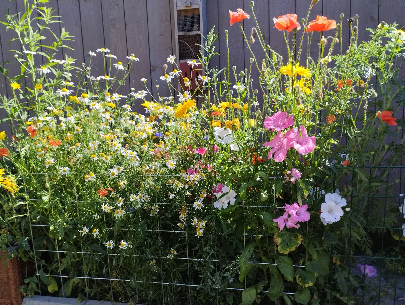 Bostadsrätt, Radhus, Räfsgatan 11C, Elinegård, Malmö