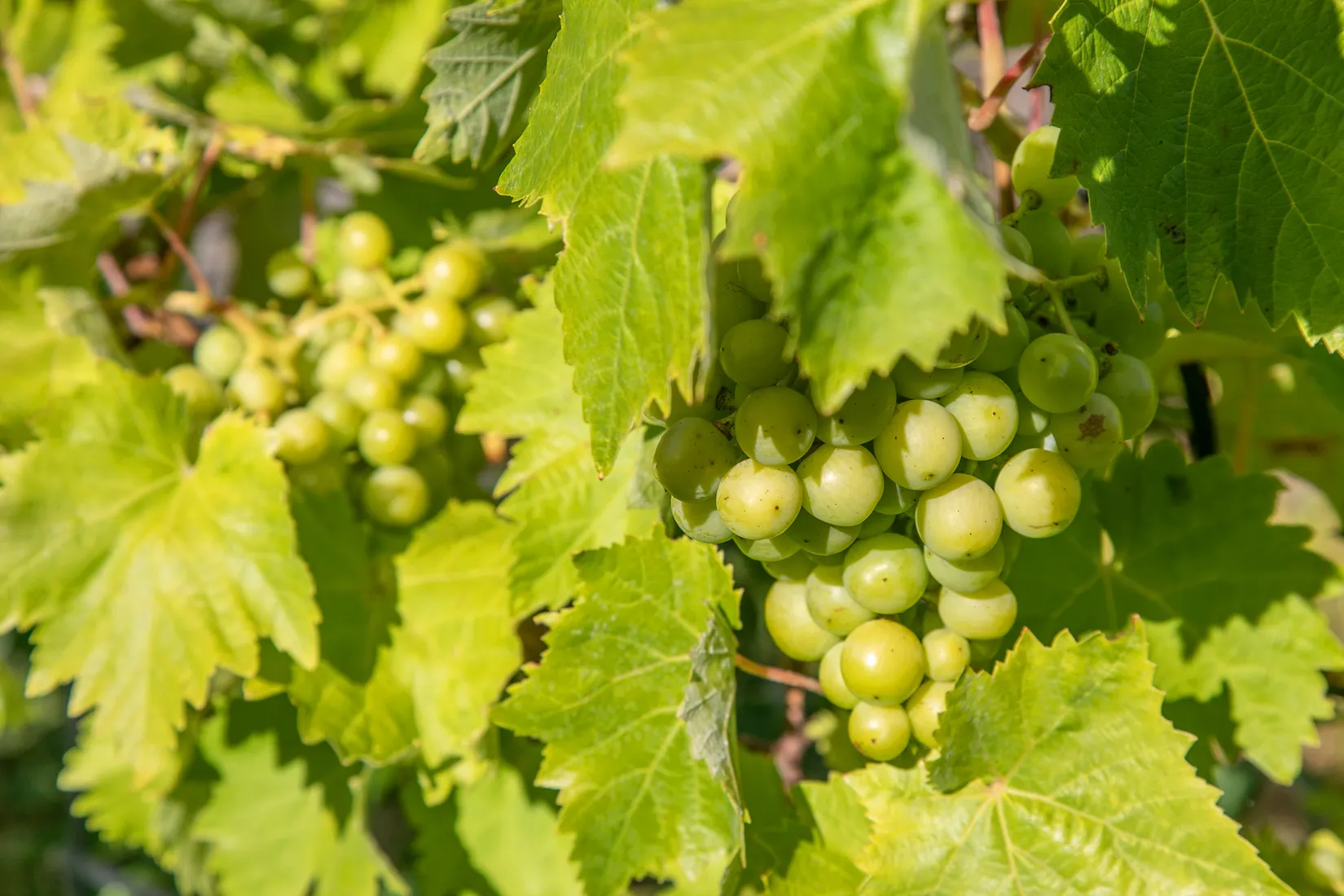 Villa, Roddarvägen 3, Boo Gård, Nacka