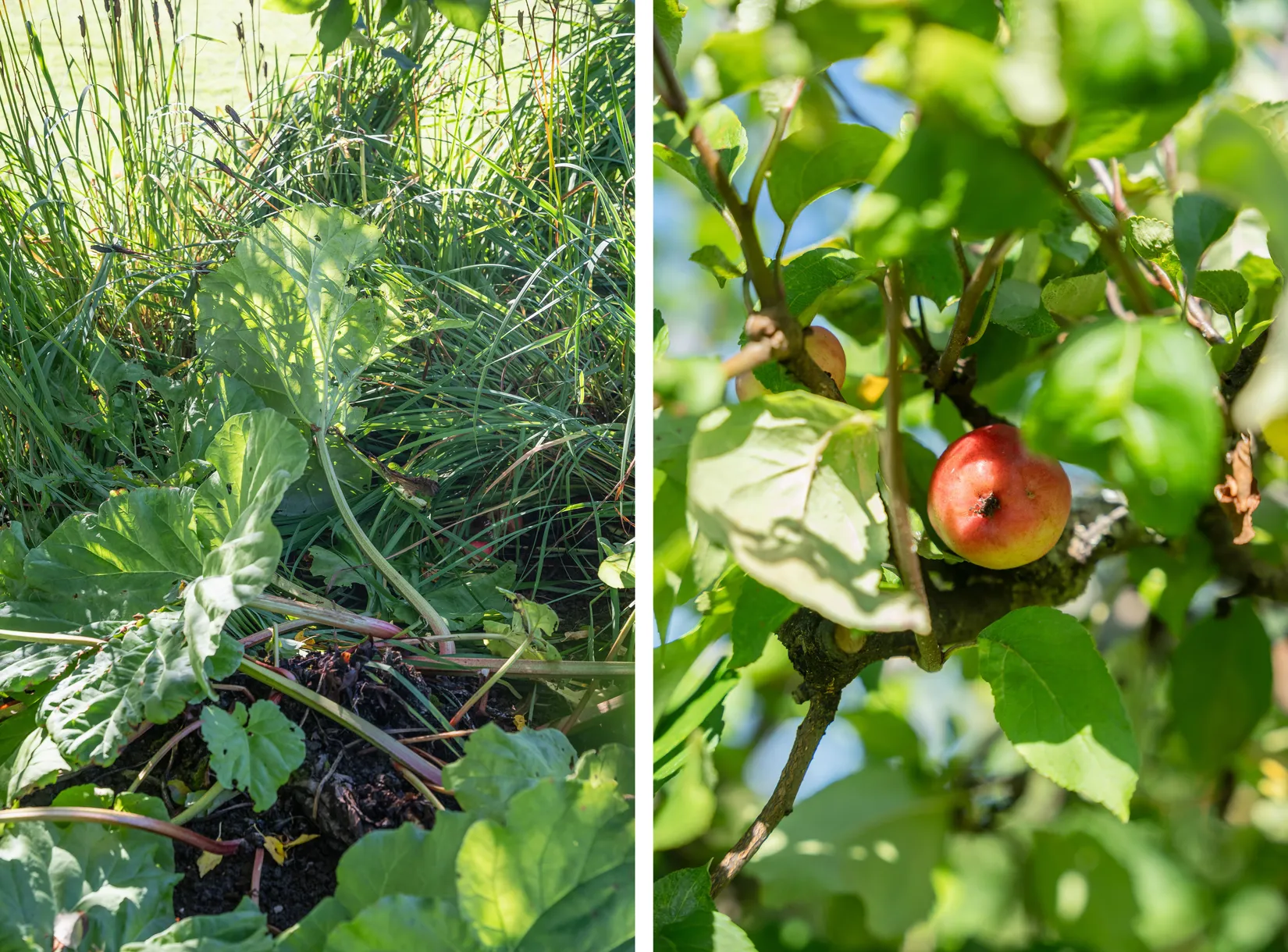 Villa, Fabriksgatan 5, Sunne