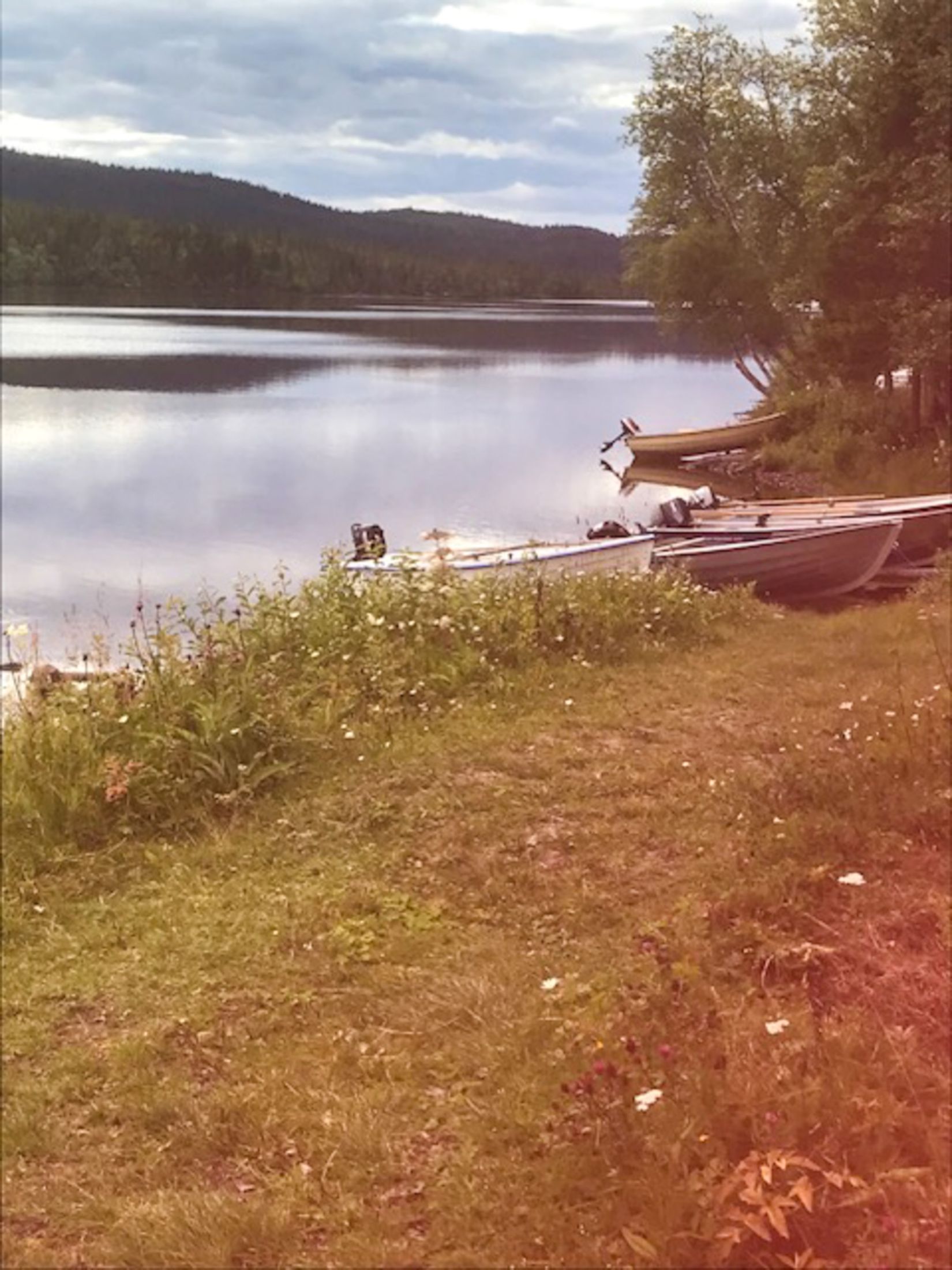 Fritidshus, Häggsjönäs 151, Lövsta/Nordhallen/Häggsjön, Åre
